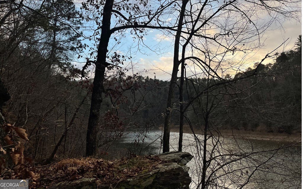 681,682 Julep Circle Ellijay GA 30540