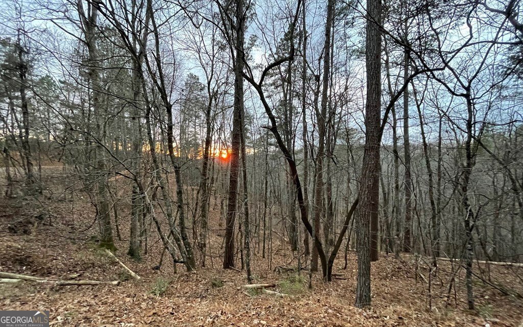 681,682 Julep Circle Ellijay GA 30540