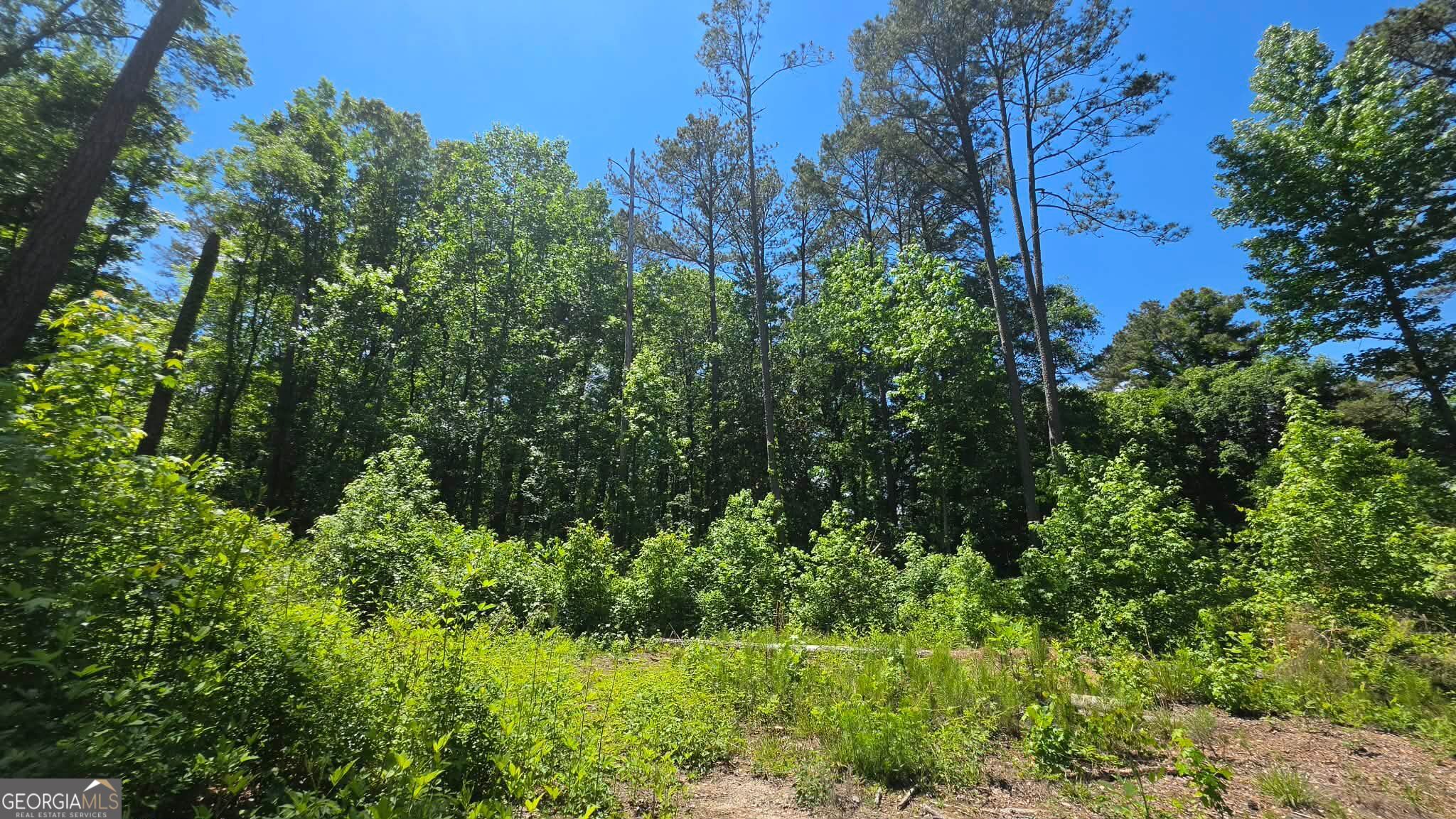6099 Old Alabama Road SW Austell GA 30168