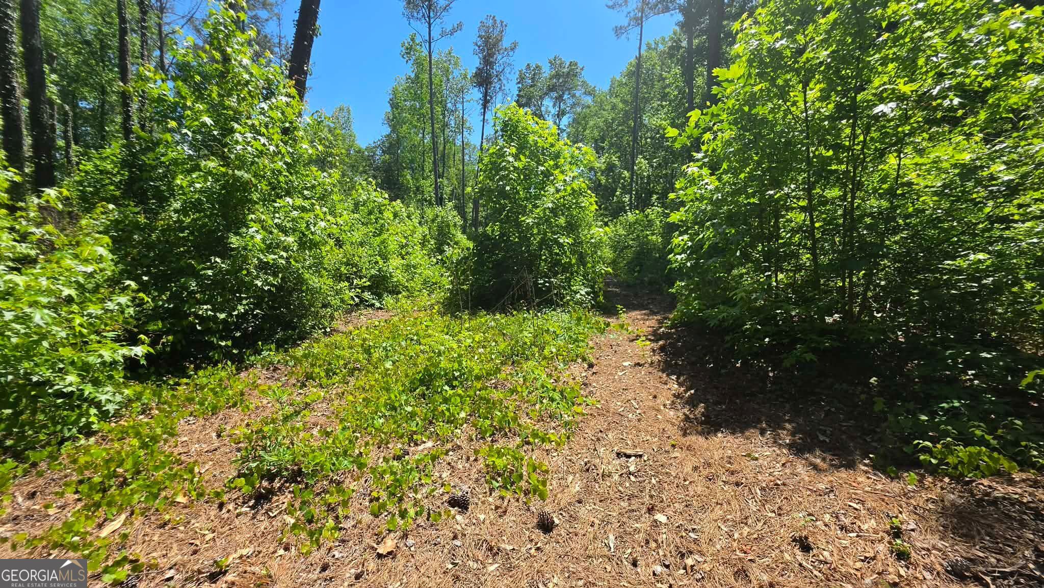 6099 Old Alabama Road SW Austell GA 30168