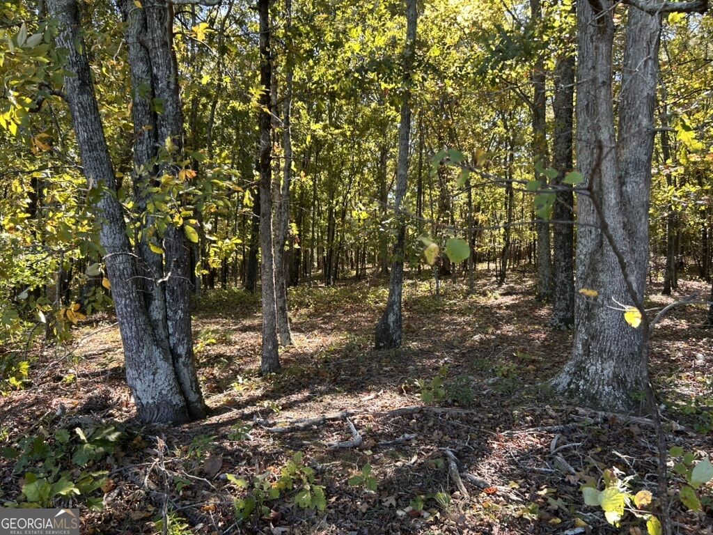 0 Arnold Dairy Farm Road Social Circle GA 30025