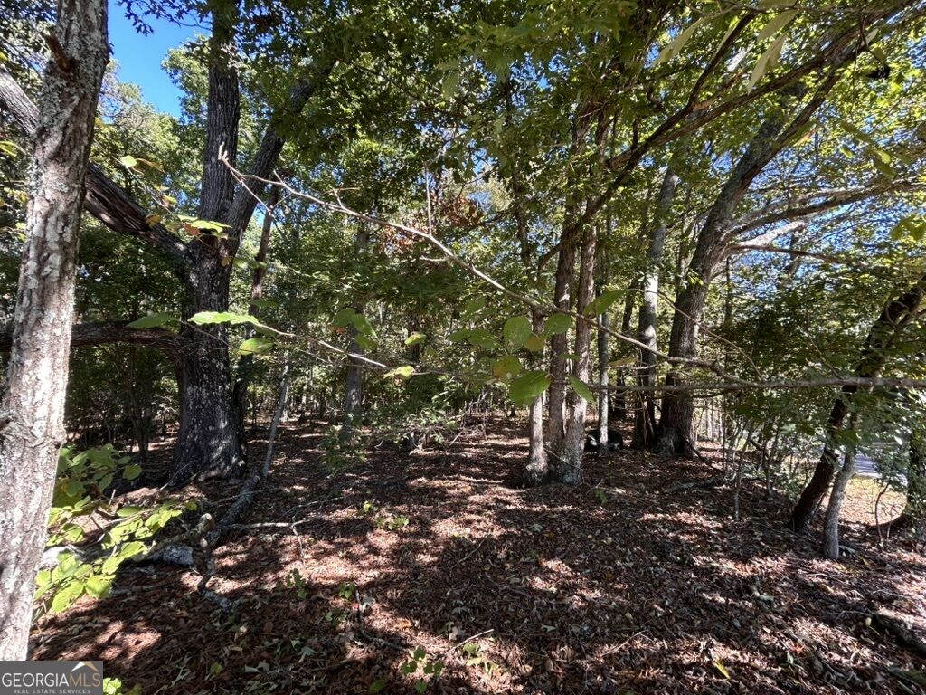 0 Arnold Dairy Farm Road Social Circle GA 30025