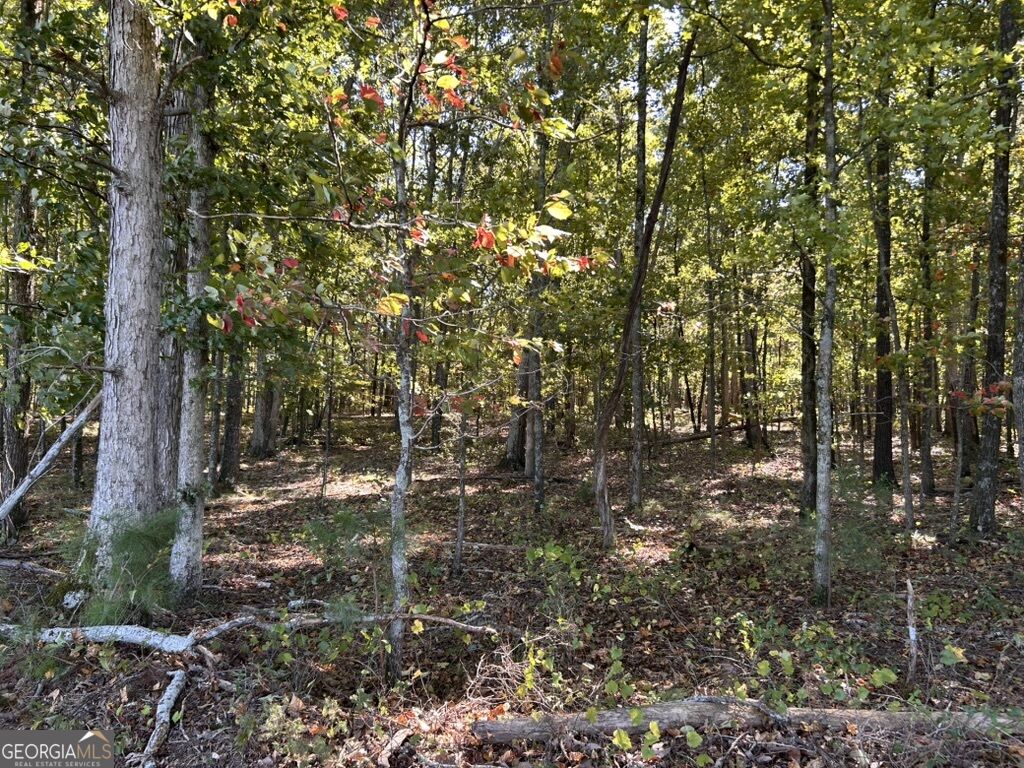 0 Arnold Dairy Farm Road Social Circle GA 30025