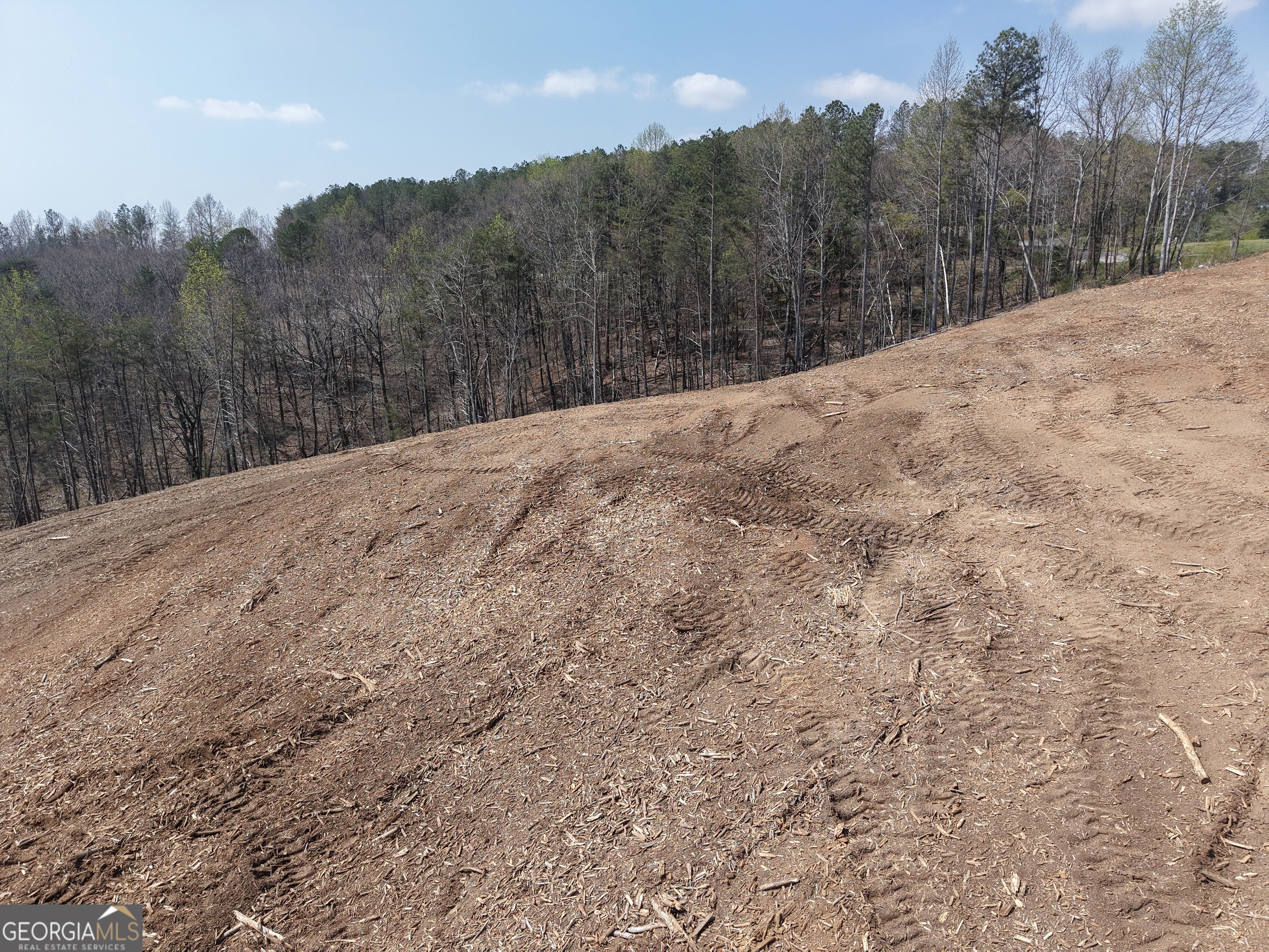 0 Young Loop Fairmount GA 30139