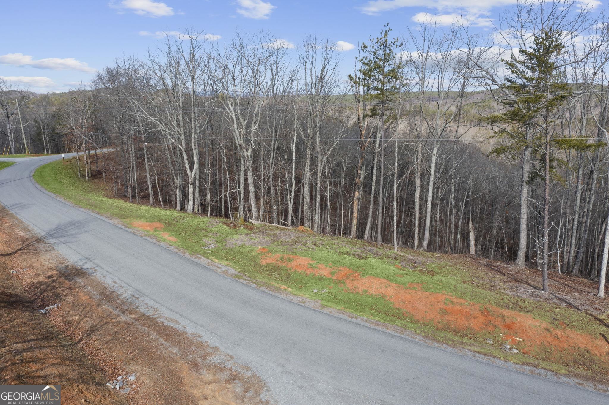 Lot 04 Blalock Mountain Road Talking Rock GA 30175