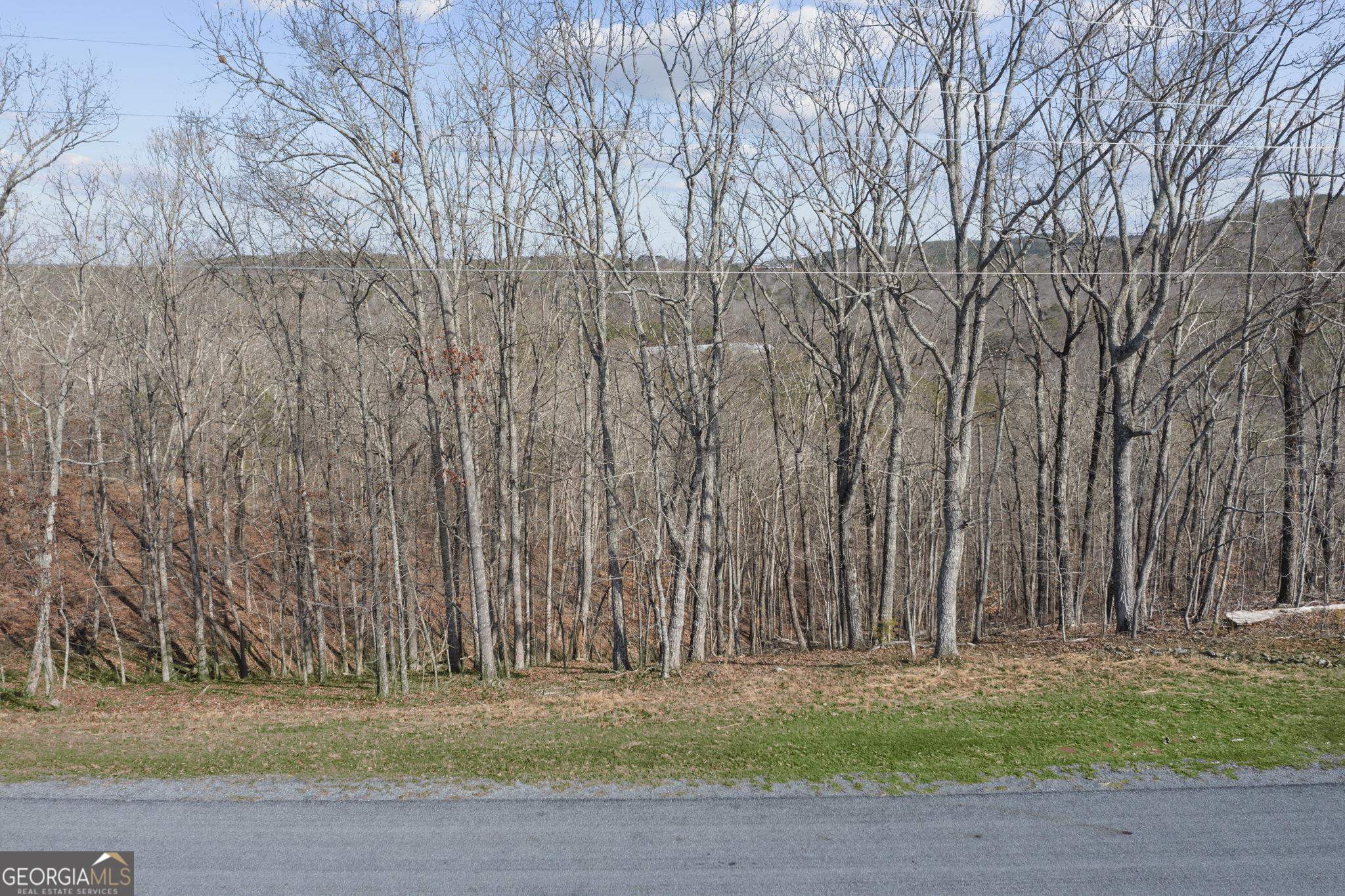 Lot 04 Blalock Mountain Road Talking Rock GA 30175