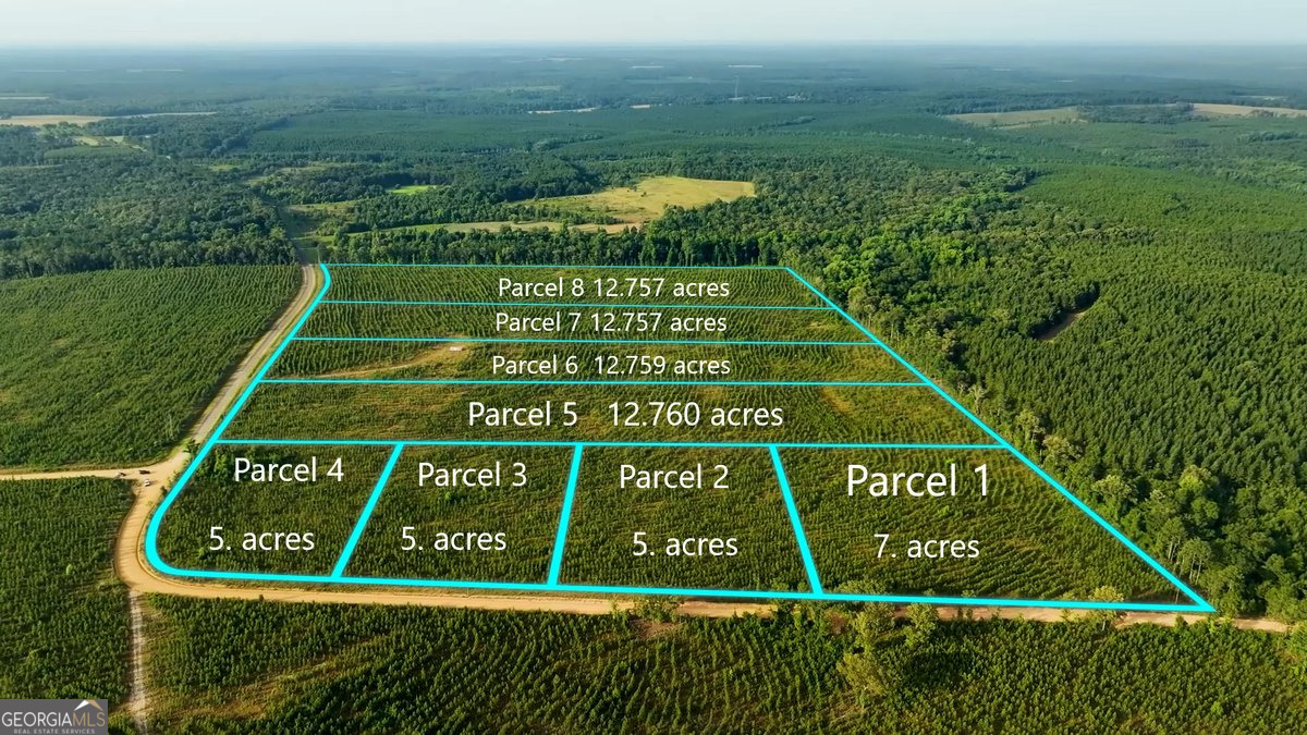 Parcel 7 Carl Rodgers Road Reynolds GA 31076