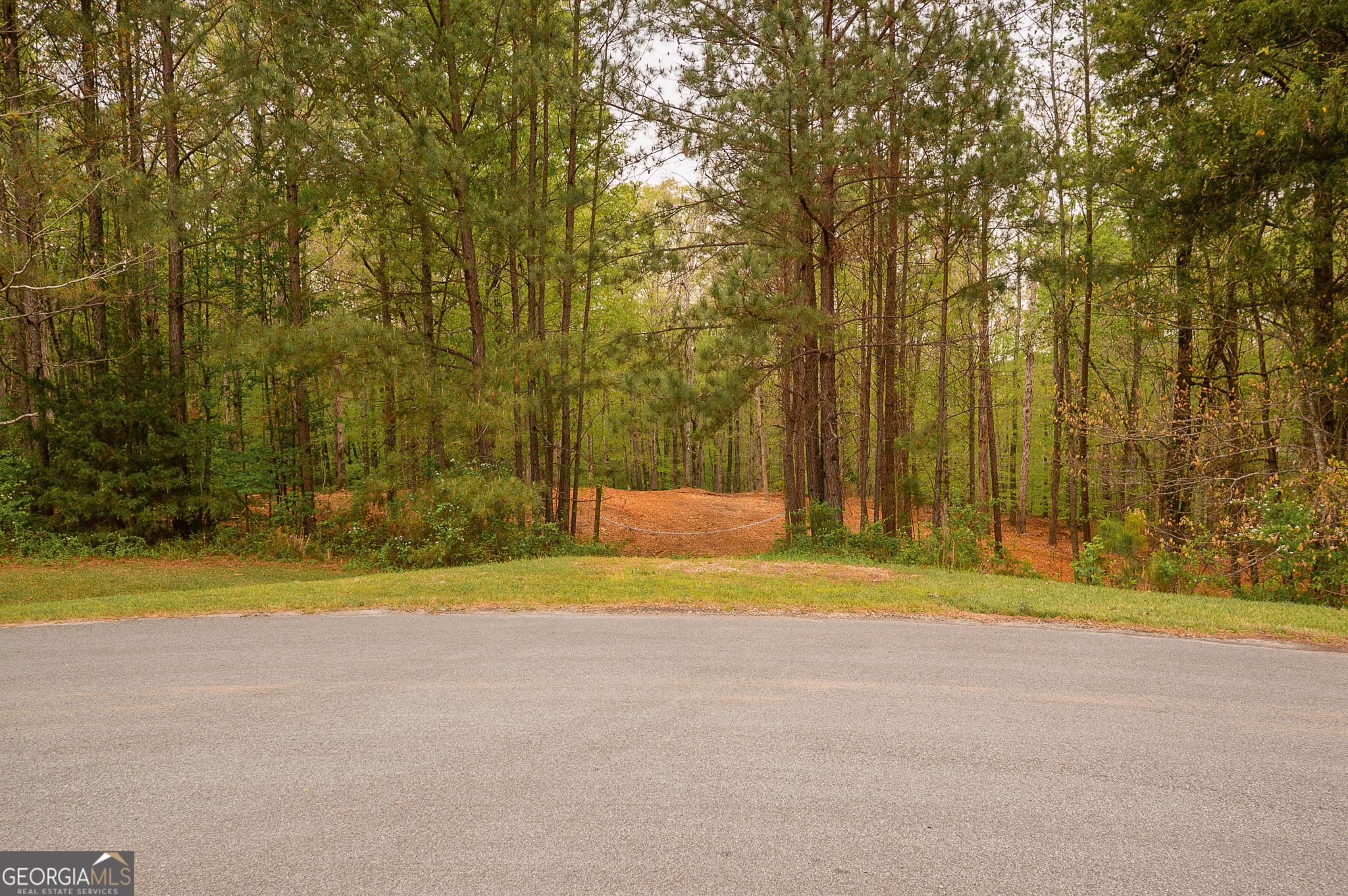 0 River Overlook Forsyth GA 31029