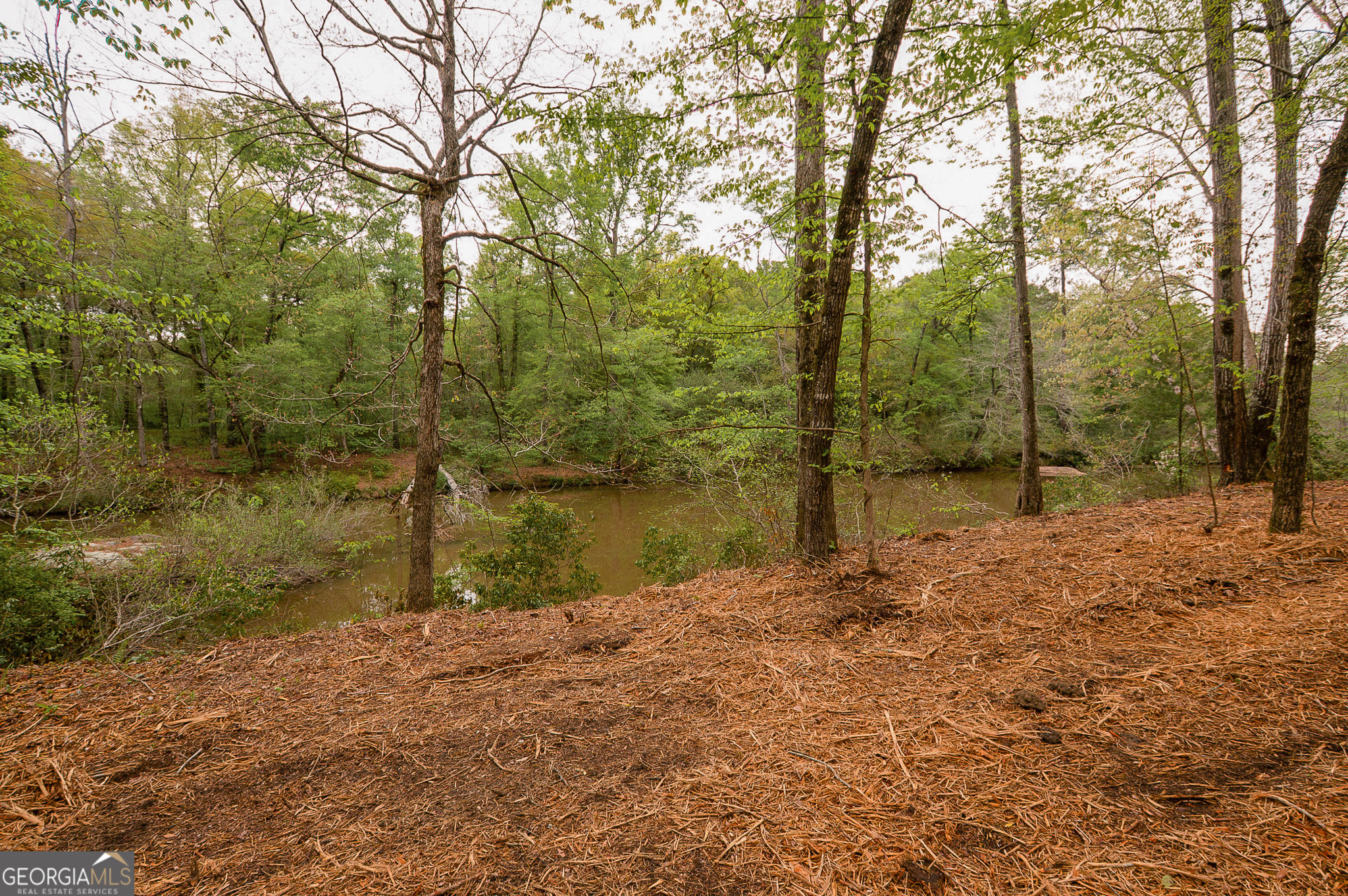 0 River Overlook Forsyth GA 31029