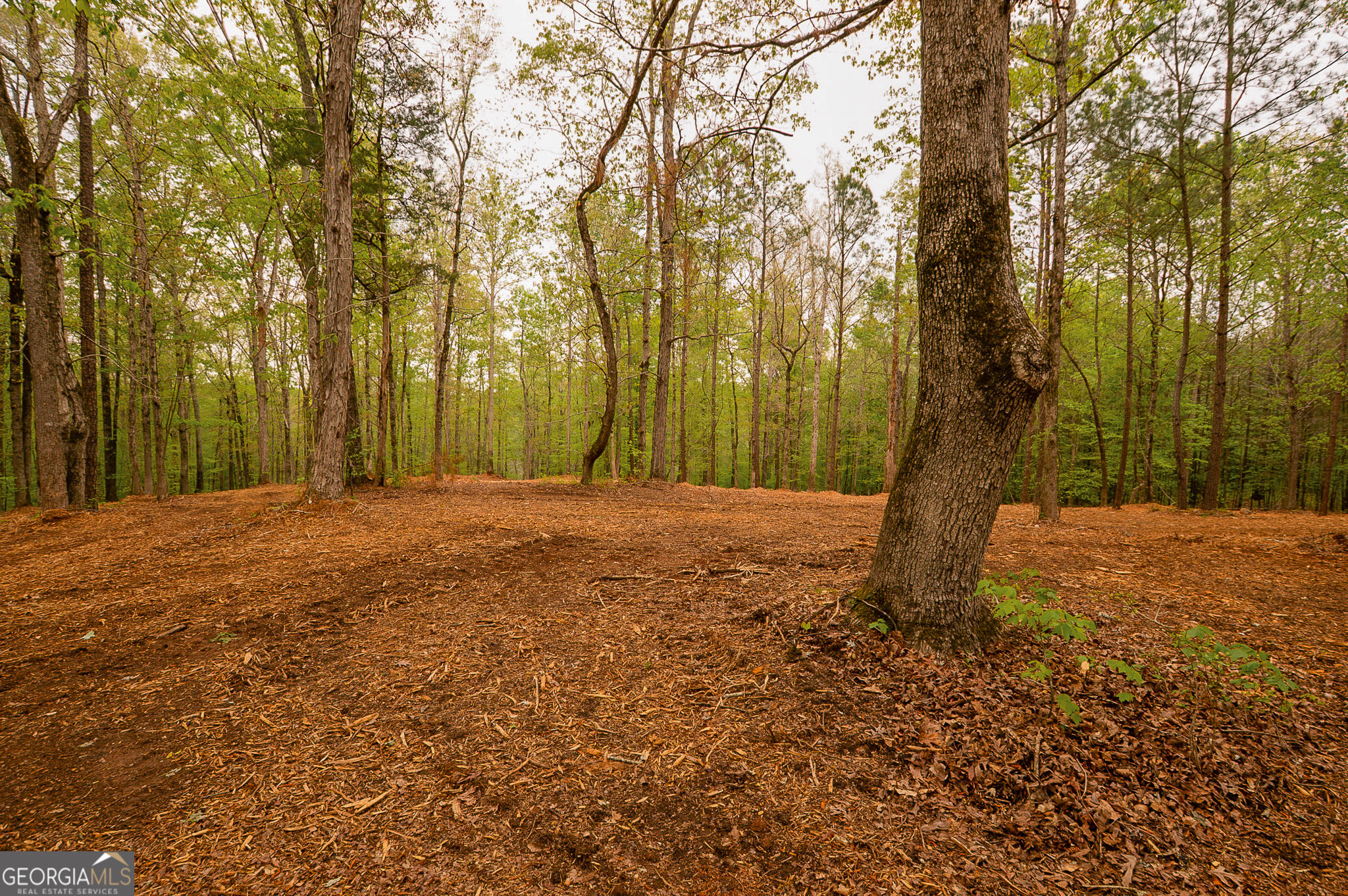 0 River Overlook Forsyth GA 31029