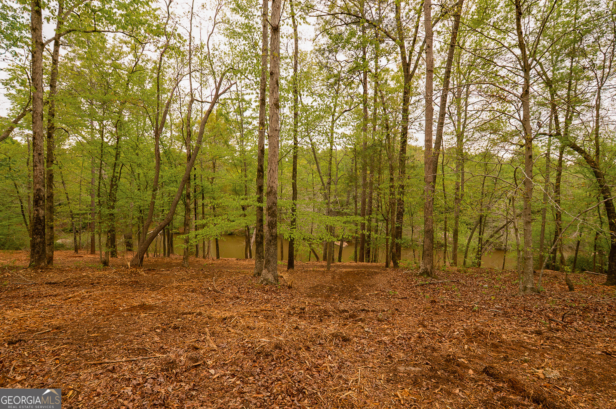 0 River Overlook Forsyth GA 31029