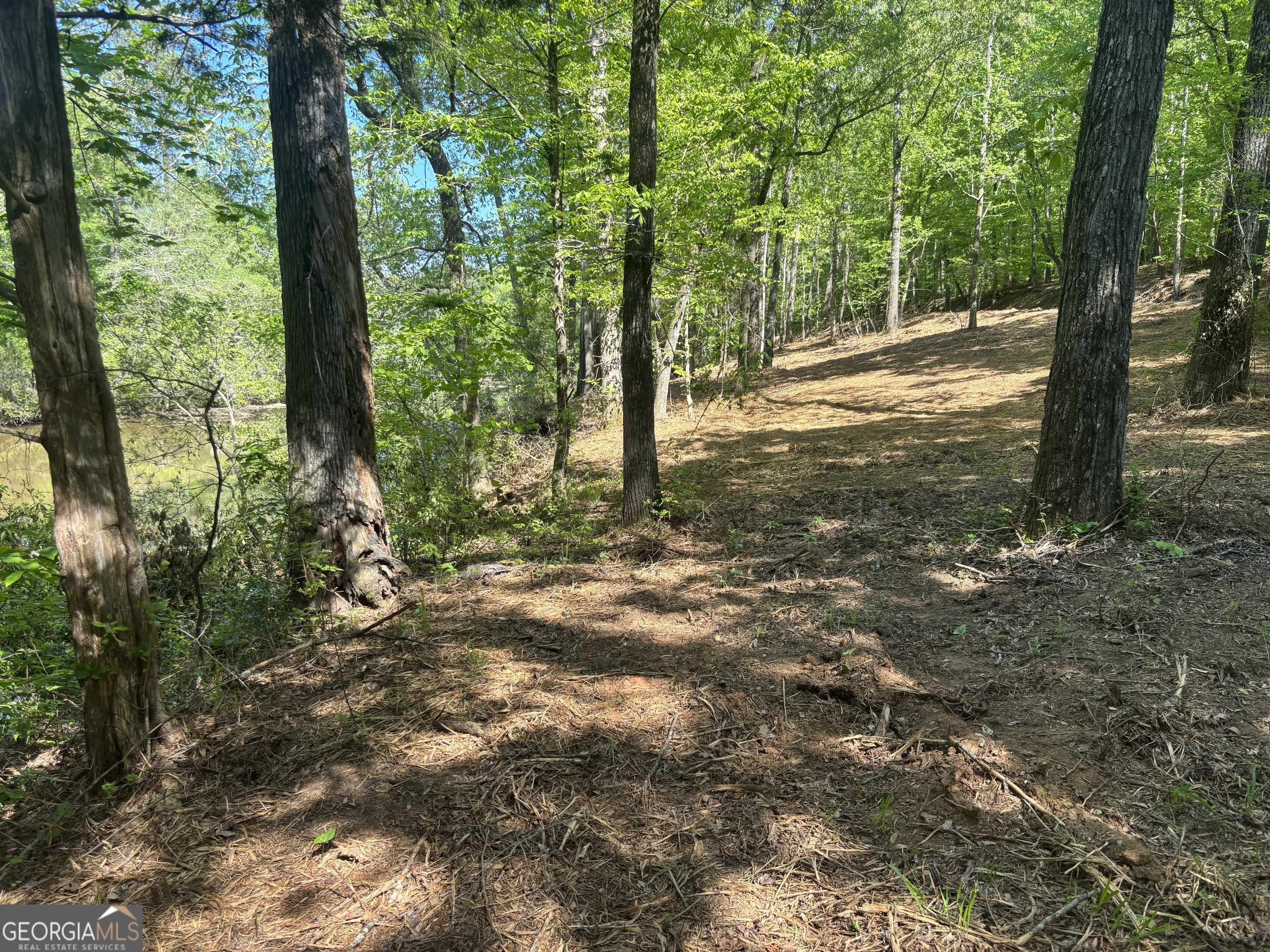 0 River Overlook Forsyth GA 31029
