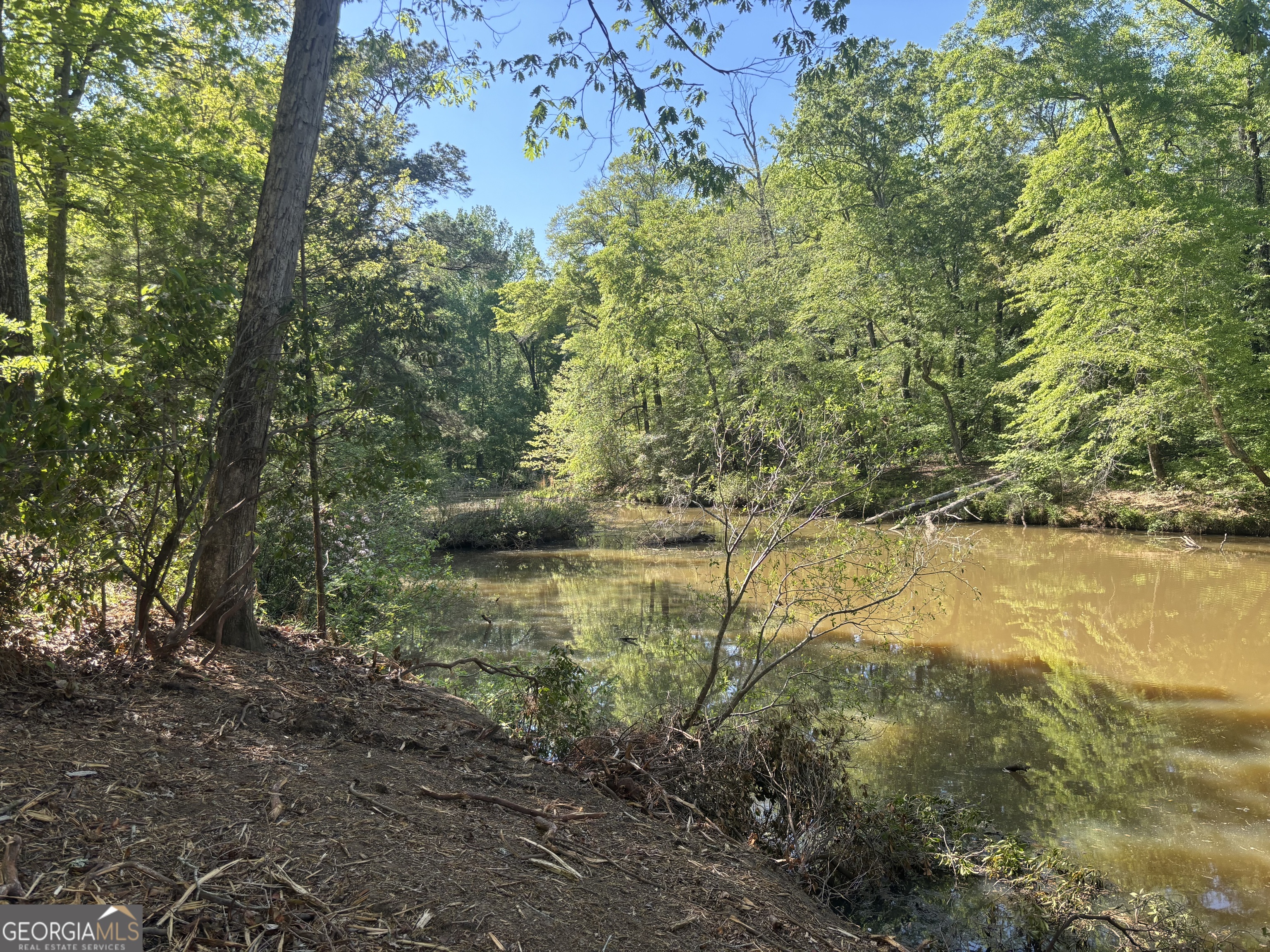 0 River Overlook Forsyth GA 31029