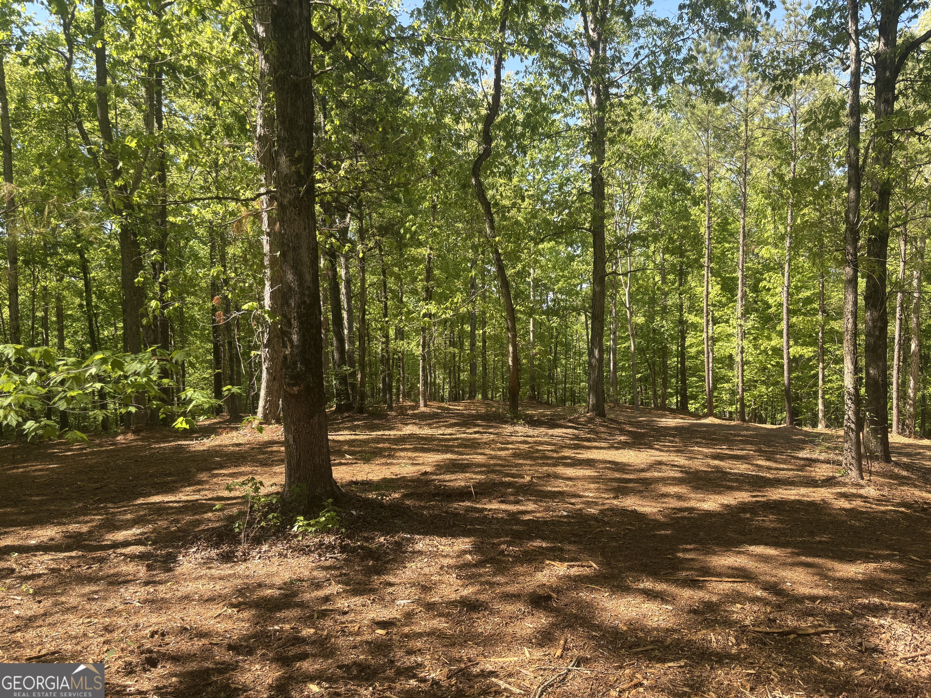 0 River Overlook Forsyth GA 31029