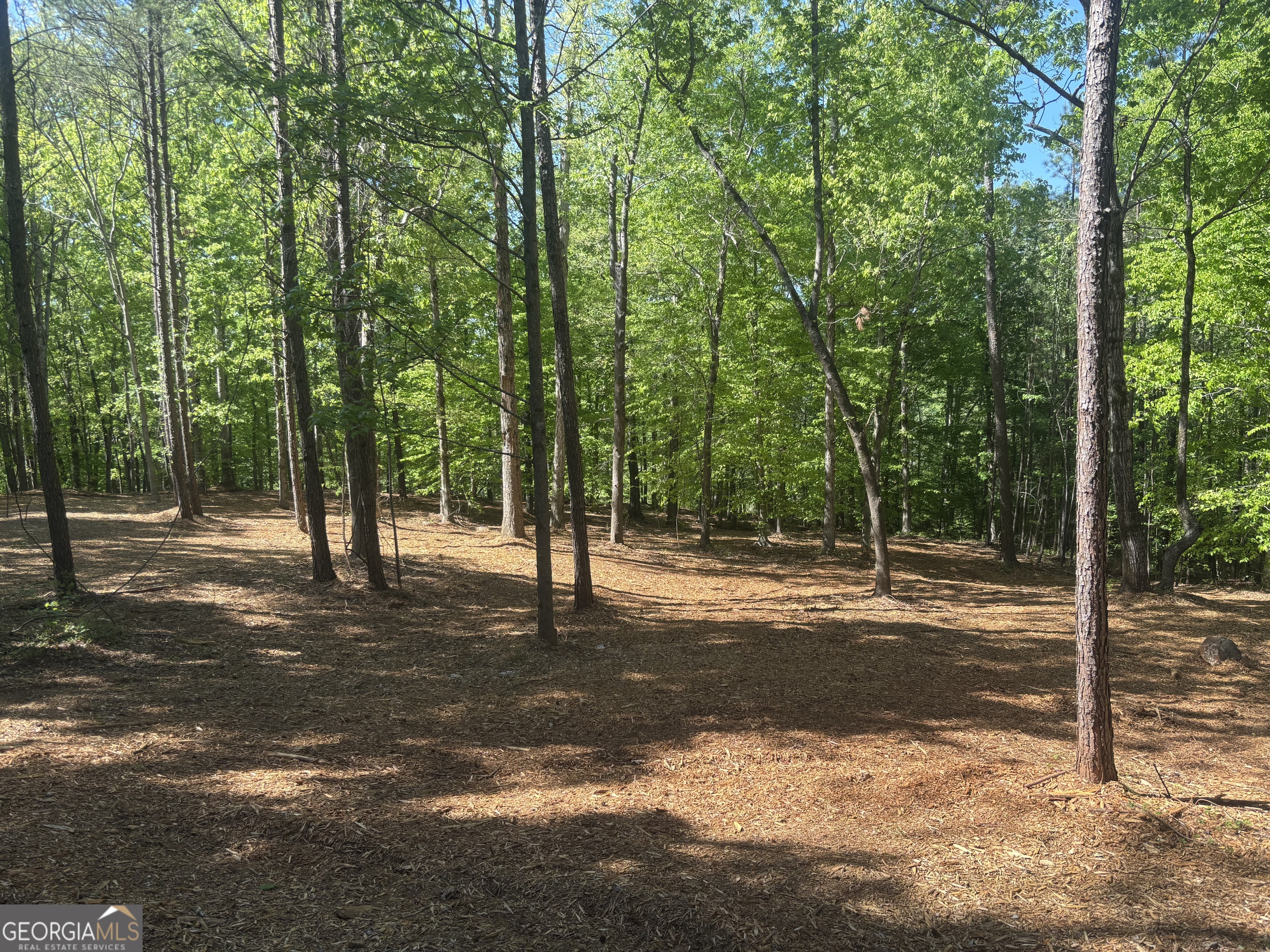 0 River Overlook Forsyth GA 31029