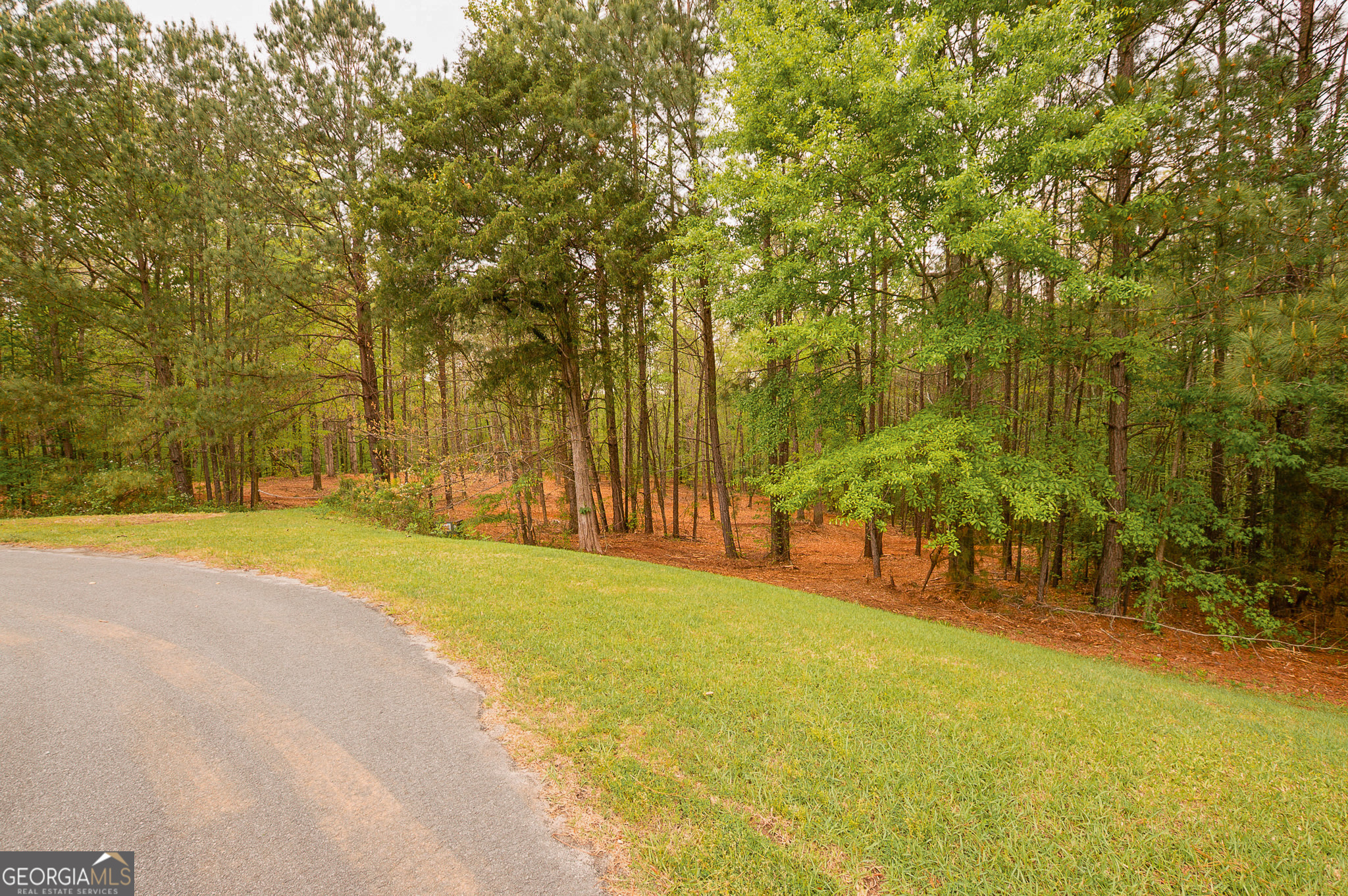 0 River Overlook Forsyth GA 31029