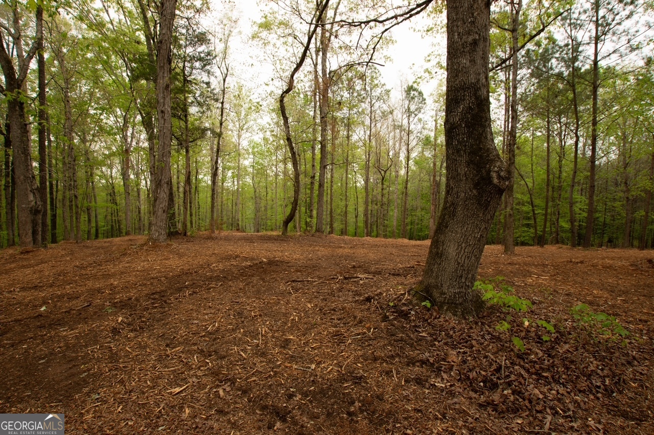 0 River Overlook Forsyth GA 31029