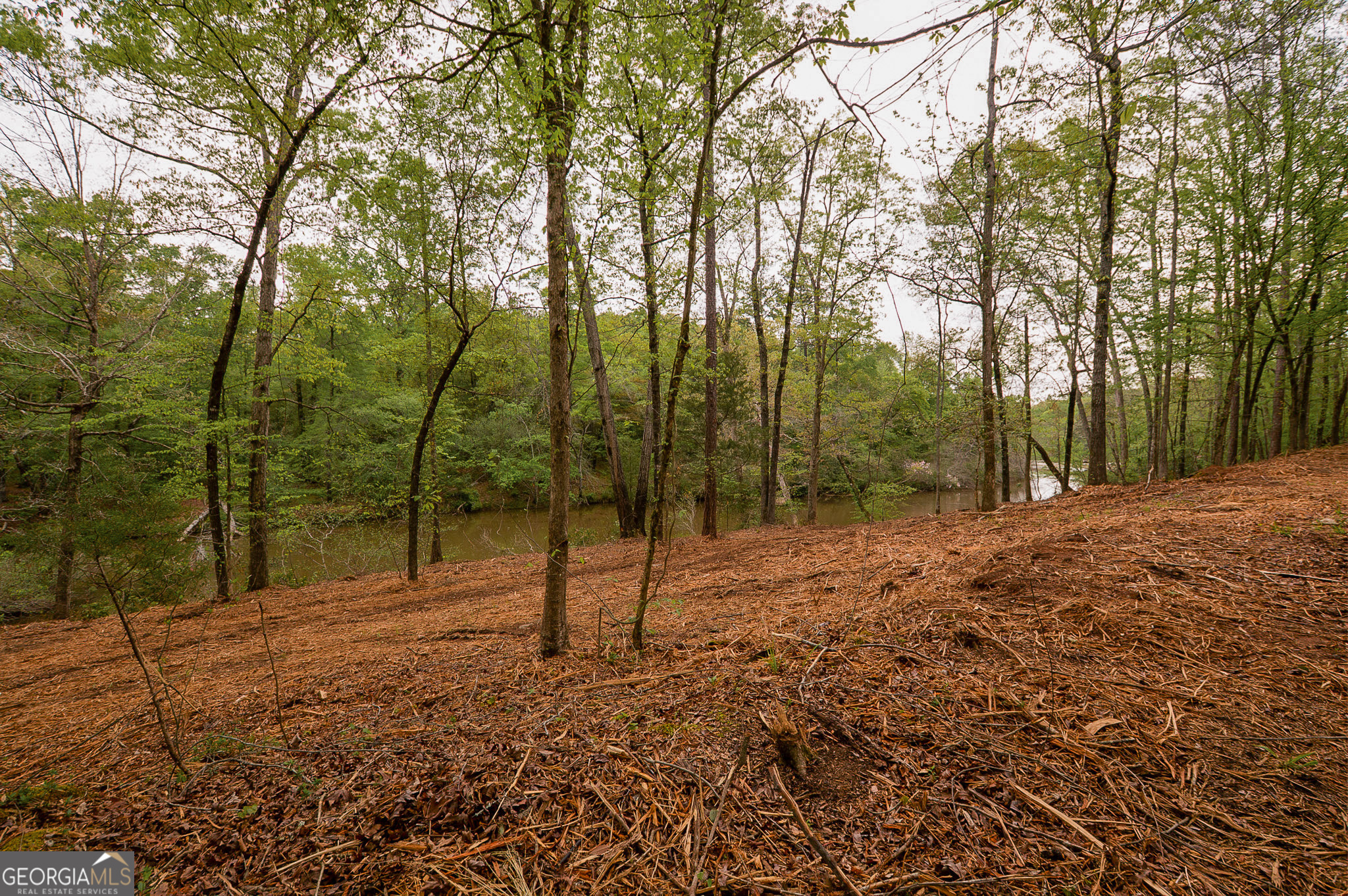 0 River Overlook Forsyth GA 31029