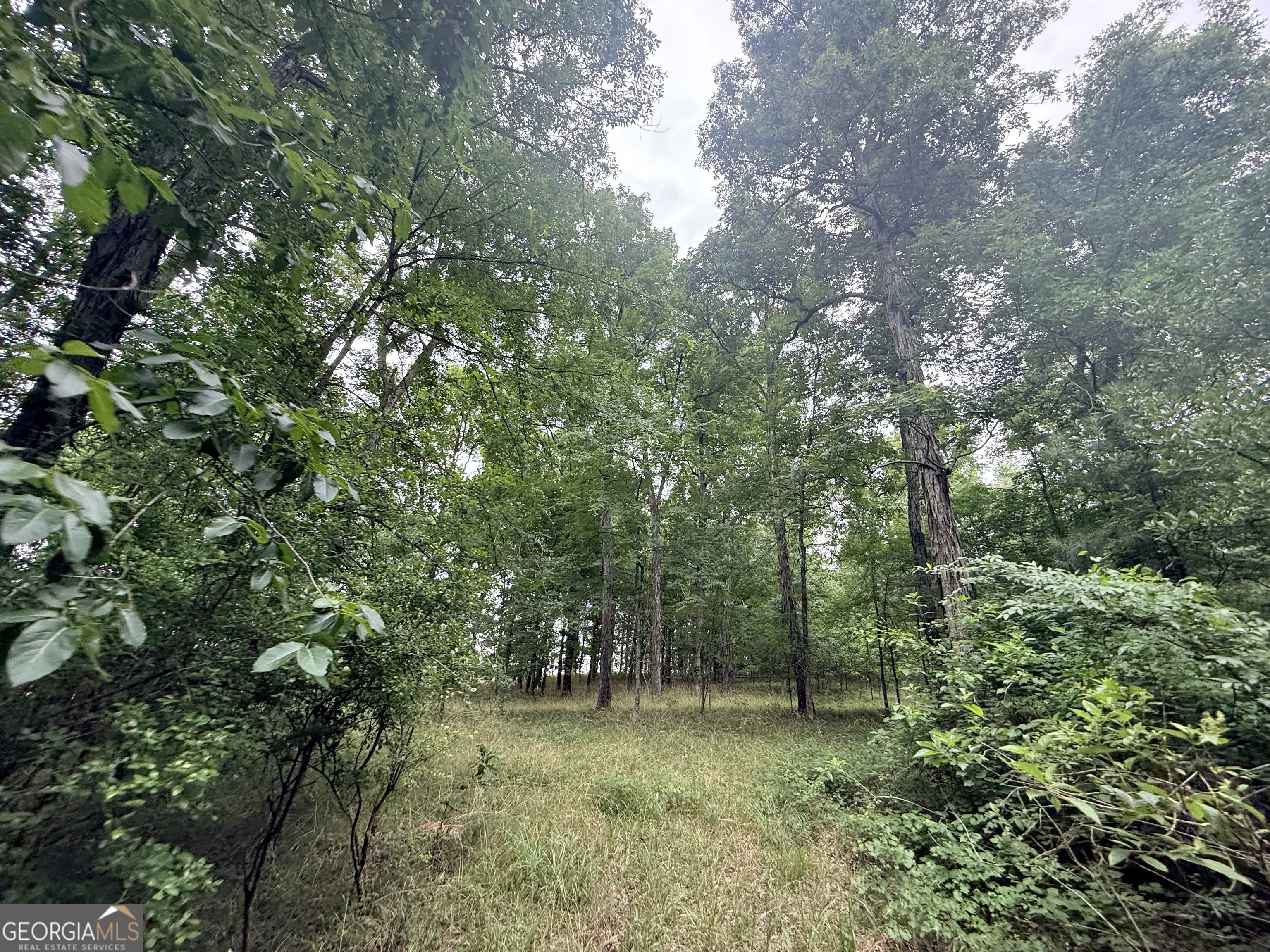 1 Bethesda Church Road Lexington GA 30648