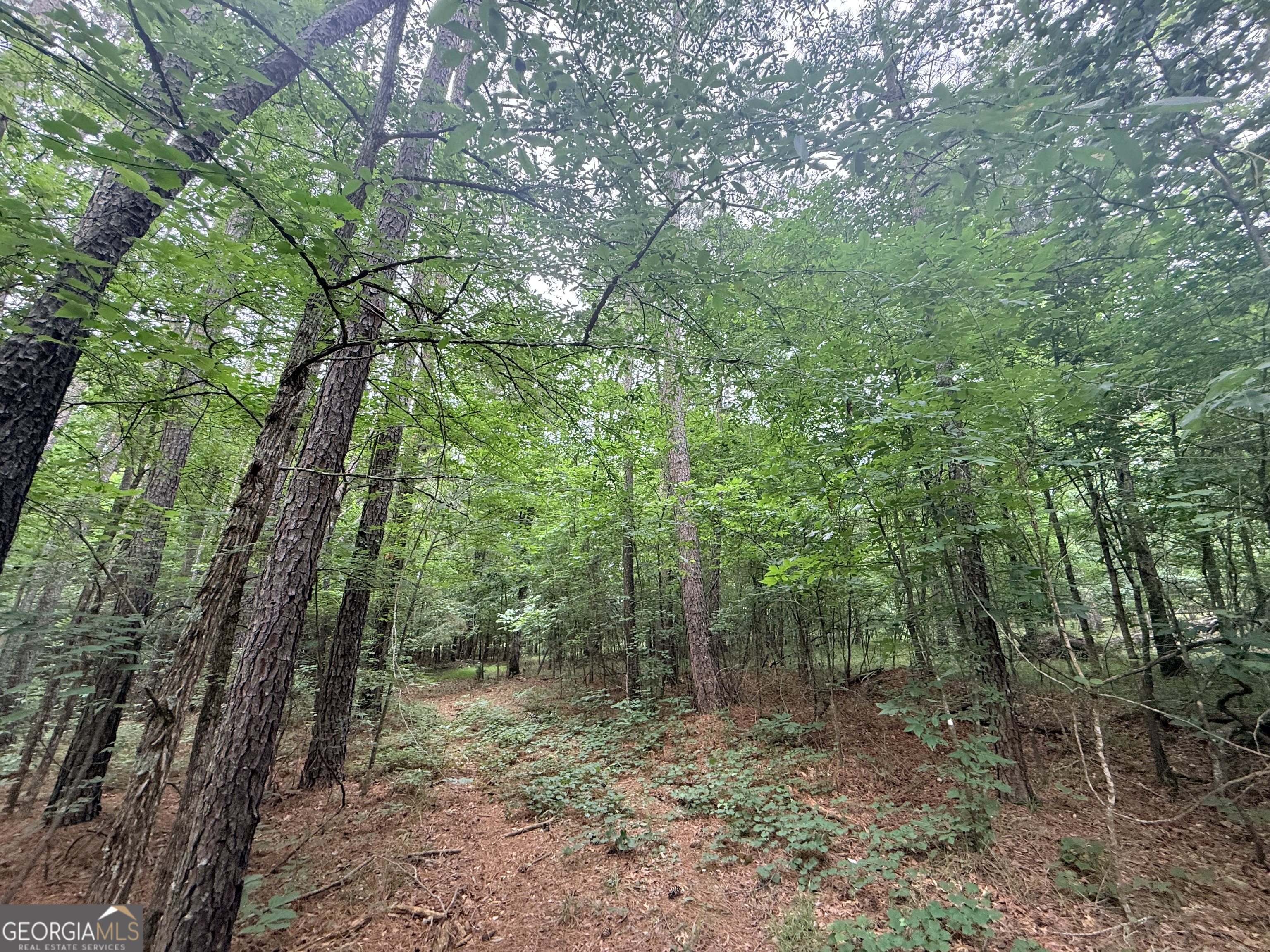 1 Bethesda Church Road Lexington GA 30648
