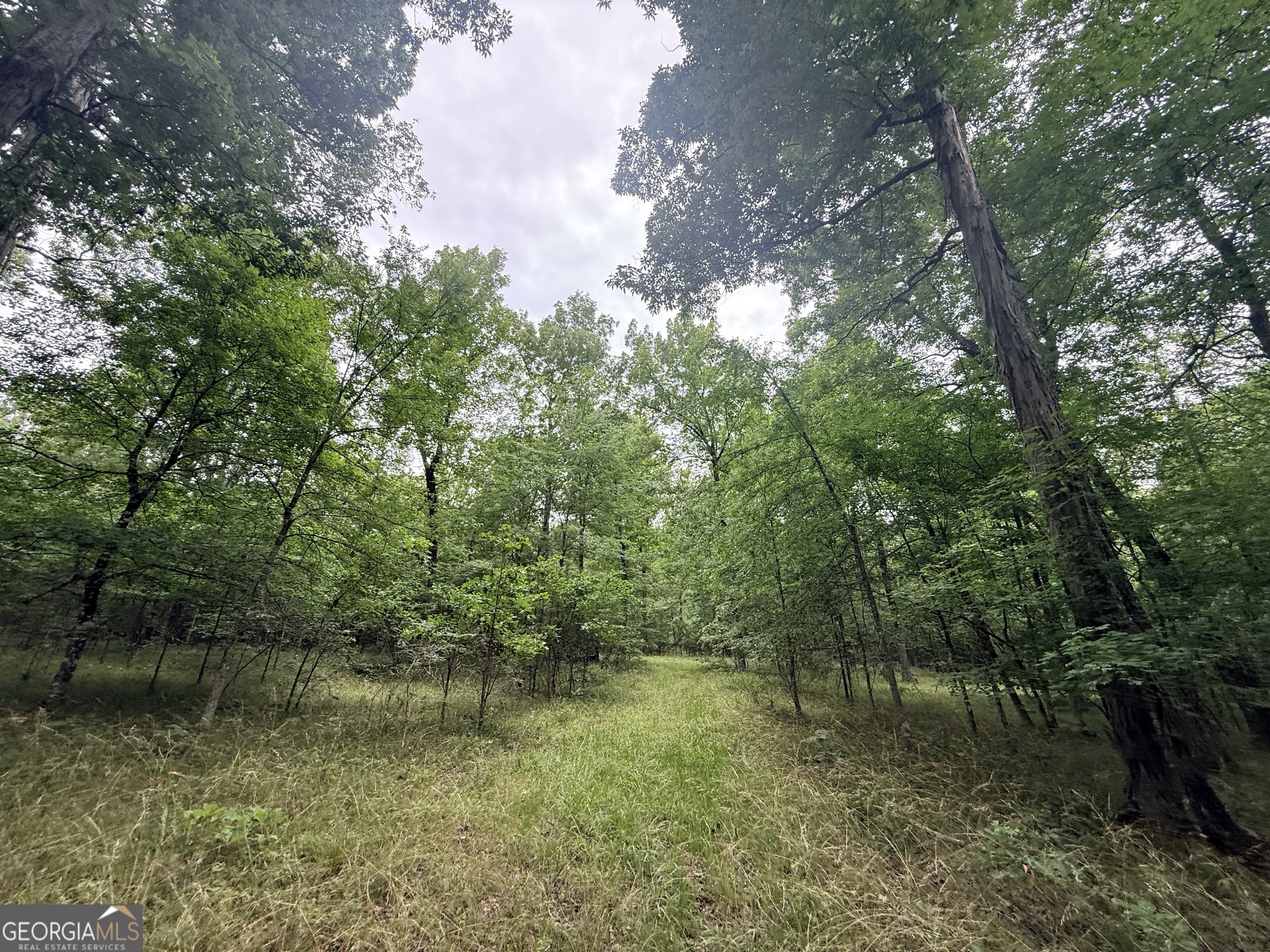 1 Bethesda Church Road Lexington GA 30648