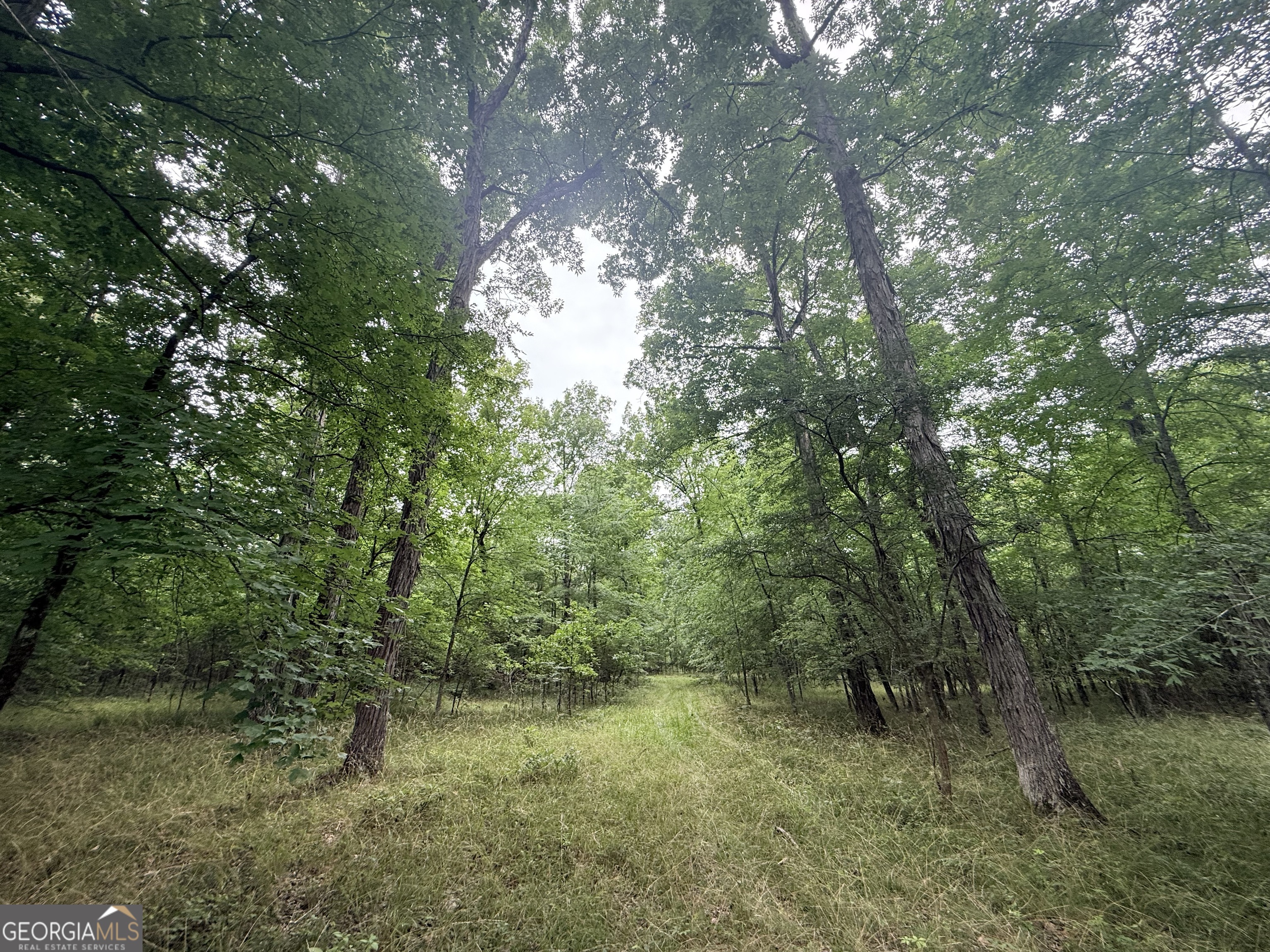 1 Bethesda Church Road Lexington GA 30648