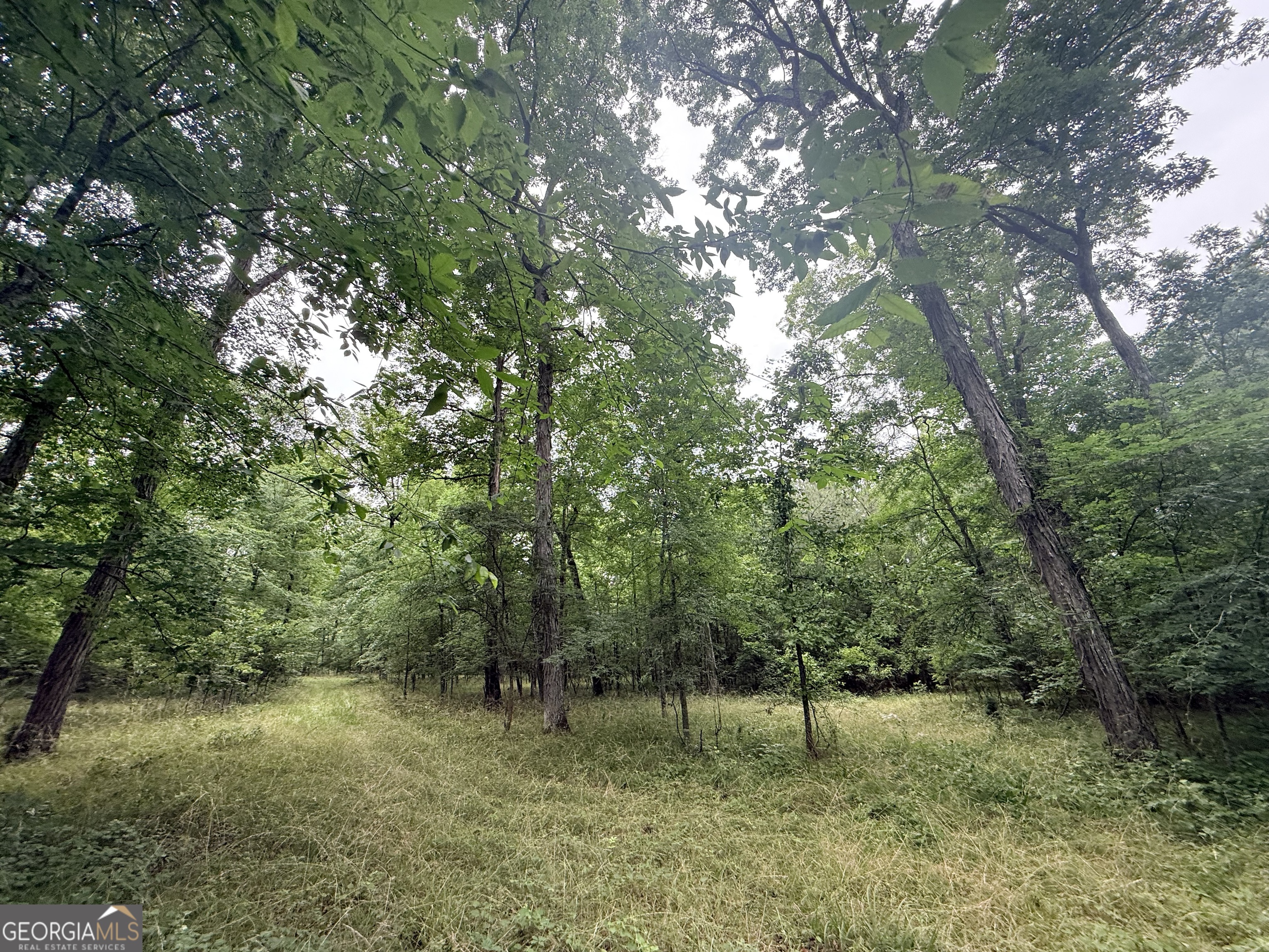 1 Bethesda Church Road Lexington GA 30648