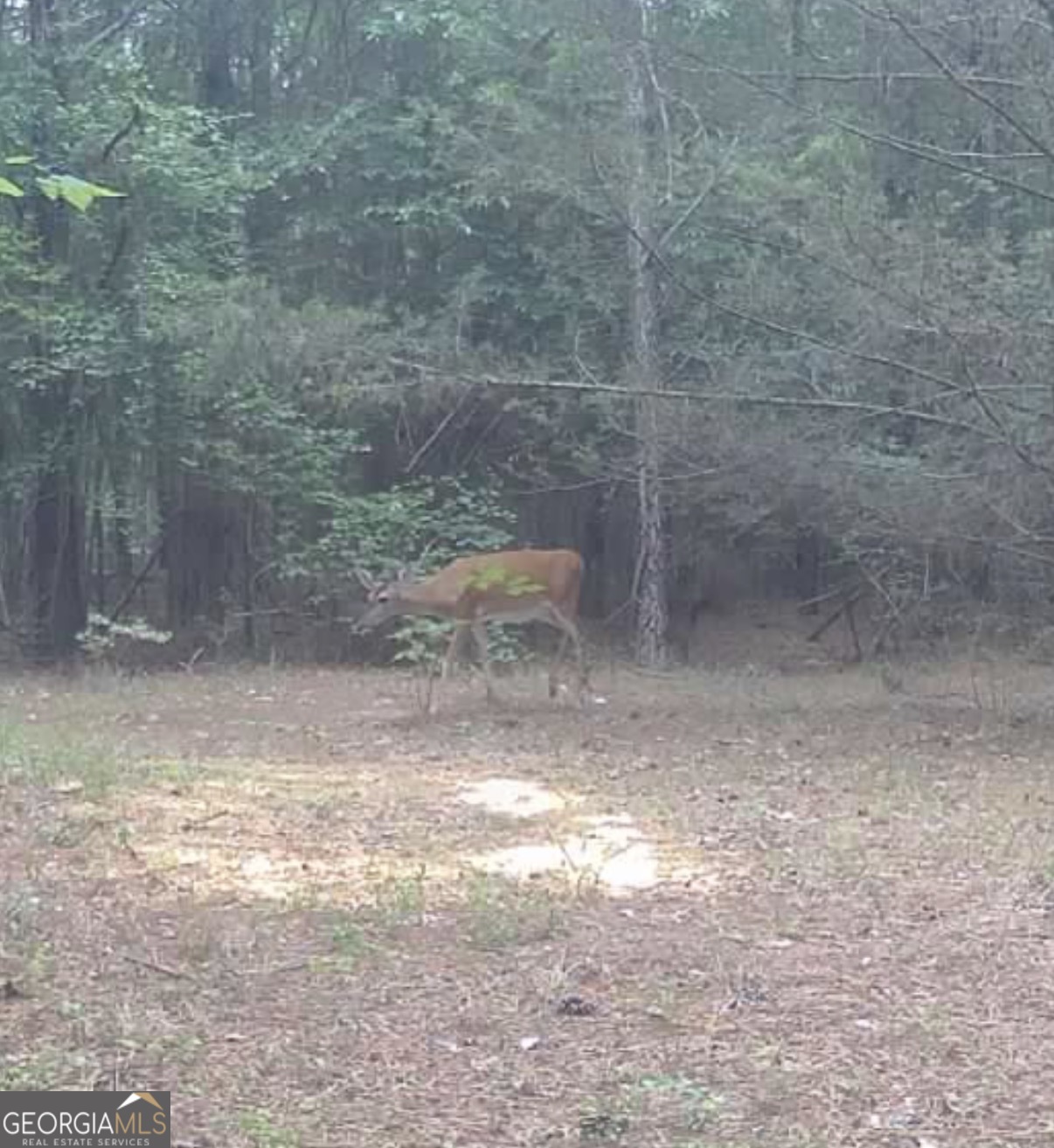 1 Bethesda Church Road Lexington GA 30648
