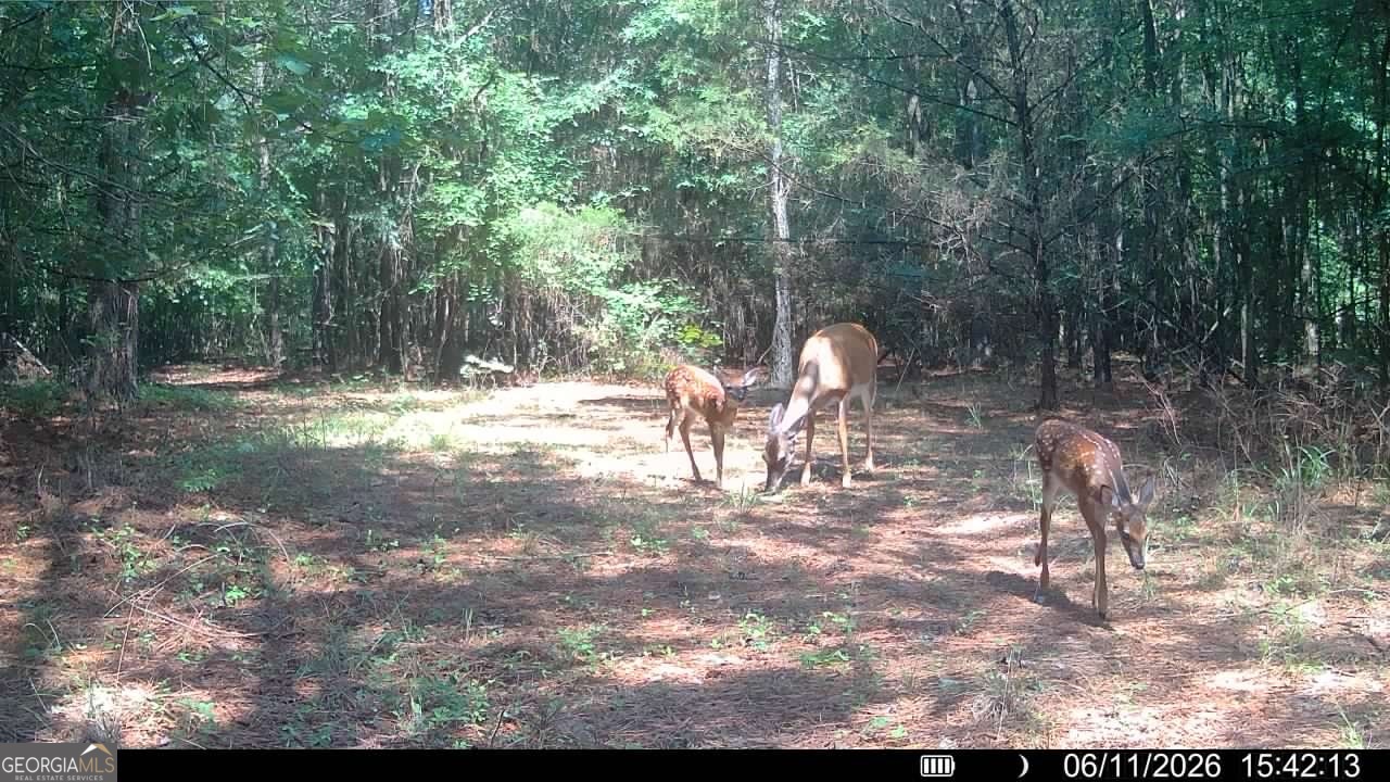 1 Bethesda Church Road Lexington GA 30648