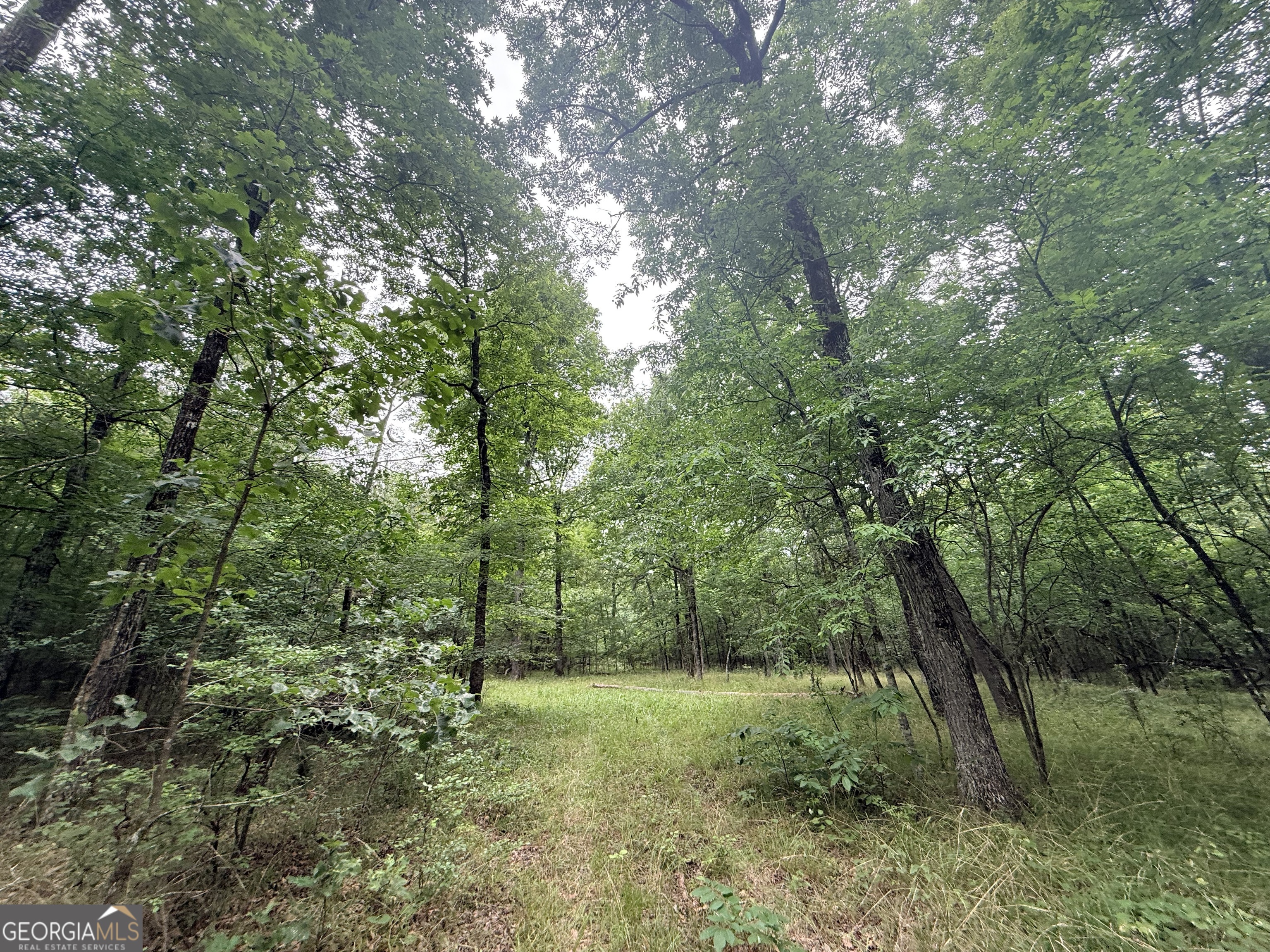 1 Bethesda Church Road Lexington GA 30648