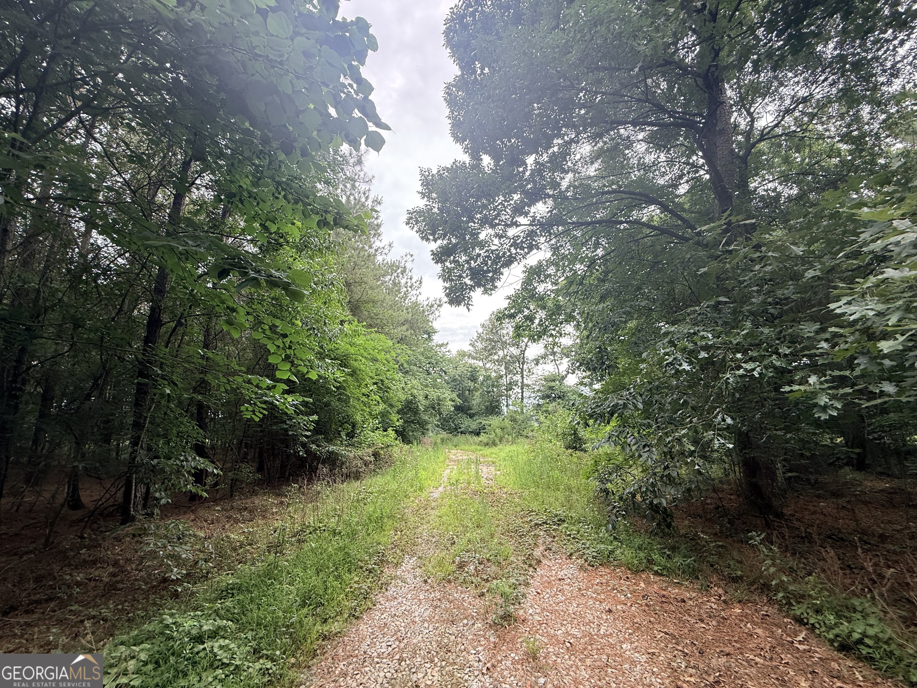 1 Bethesda Church Road Lexington GA 30648