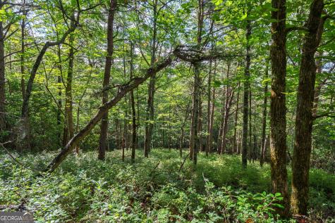 0 York Cemetery Road Sautee Nacoochee GA 30571