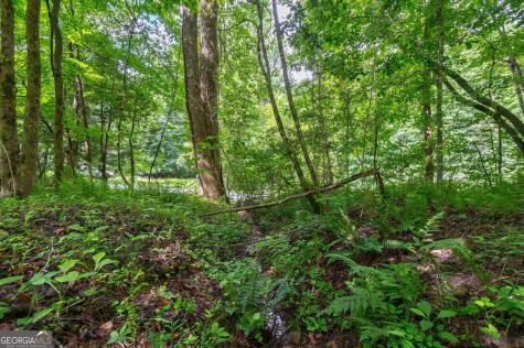 0 York Cemetery Road Sautee Nacoochee GA 30571