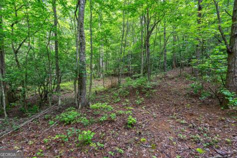 0 York Cemetery Road Sautee Nacoochee GA 30571