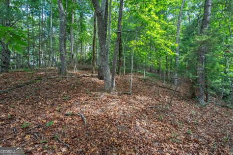 0 York Cemetery Road Sautee Nacoochee GA 30571