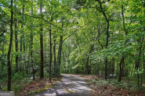 0 York Cemetery Road Sautee Nacoochee GA 30571