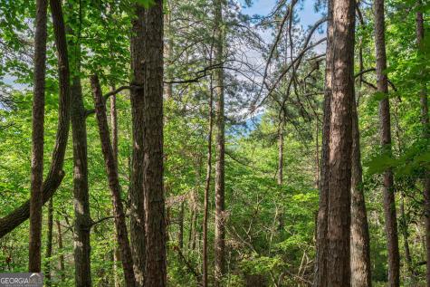 0 York Cemetery Road Sautee Nacoochee GA 30571