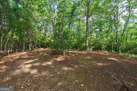 0 York Cemetery Road Sautee Nacoochee GA 30571