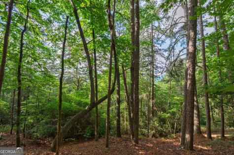 0 York Cemetery Road Sautee Nacoochee GA 30571