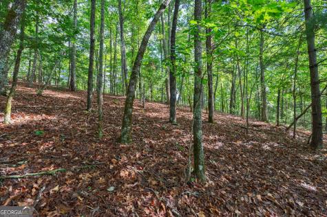 0 York Cemetery Road Sautee Nacoochee GA 30571