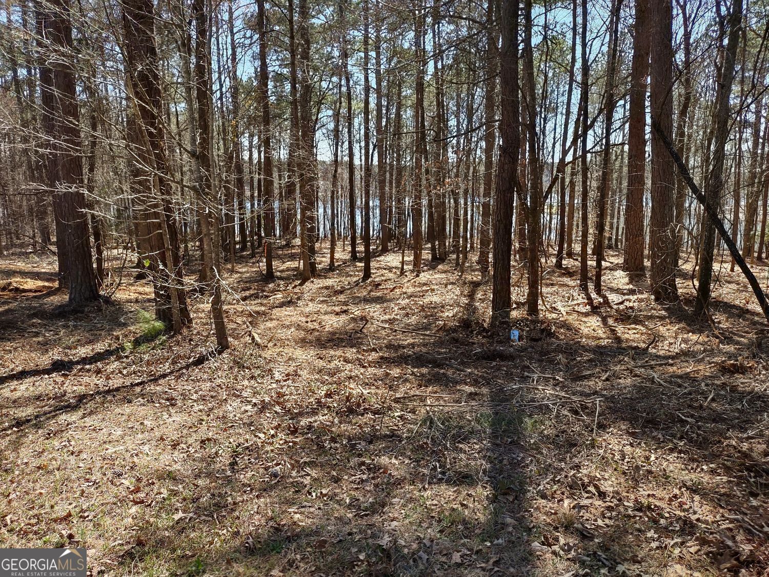 12371 Panhandle Road Hampton GA 30228