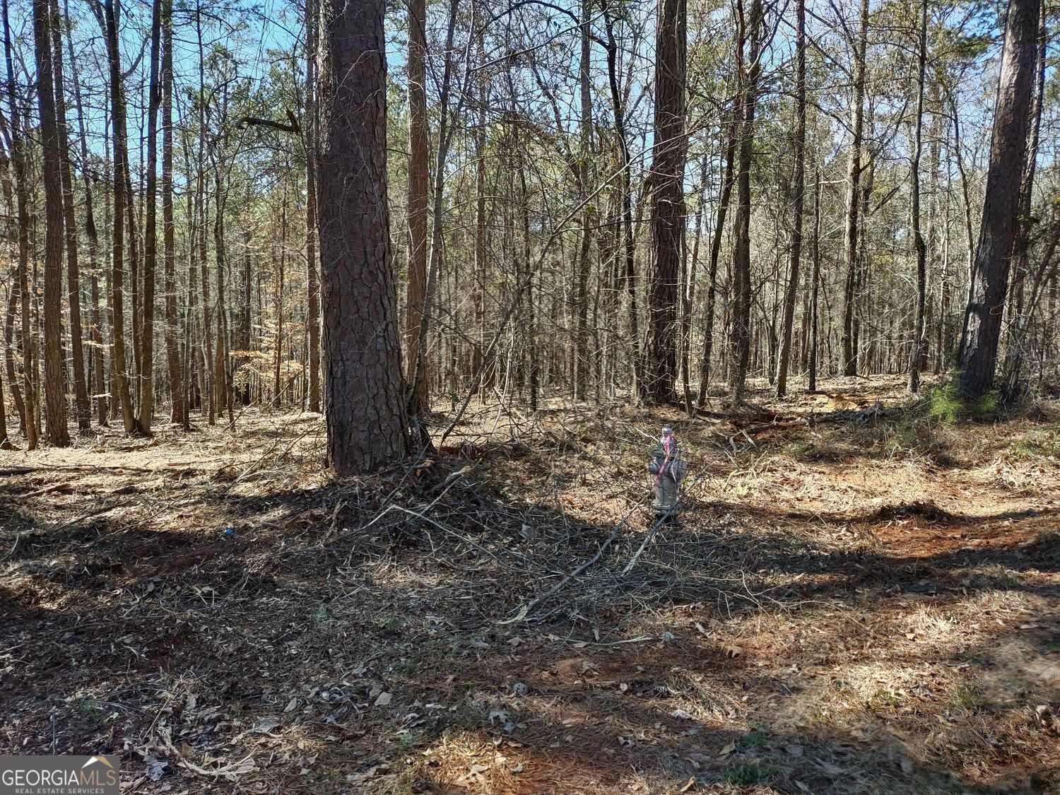 12371 Panhandle Road Hampton GA 30228