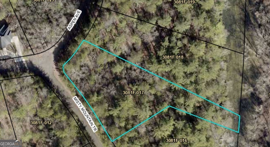 Lot 17 Misty Mountain Trail Ellijay GA 30536
