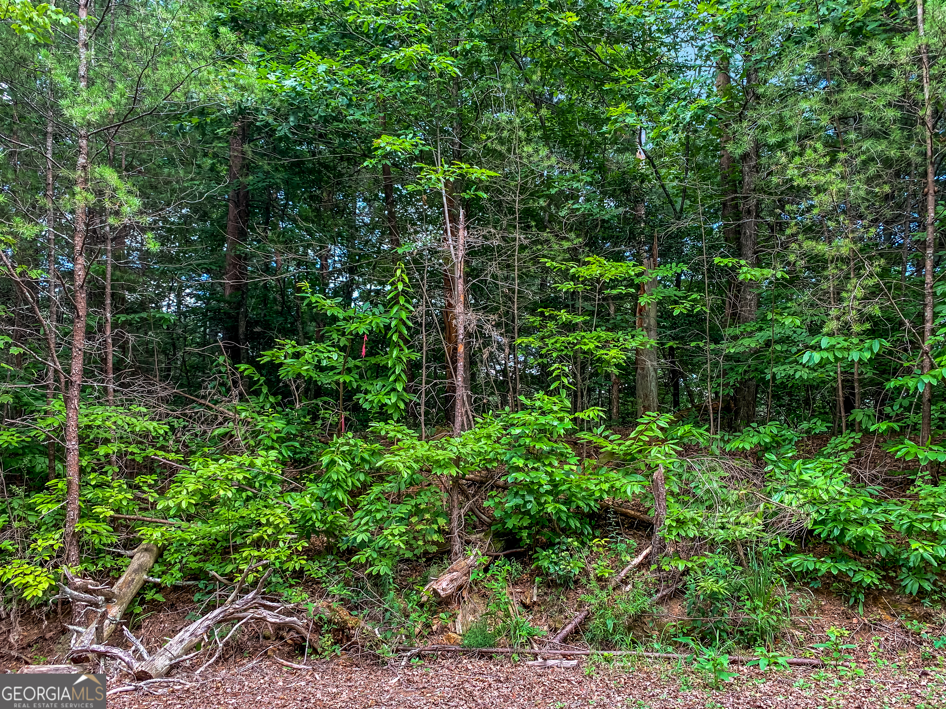 Lot 17 Misty Mountain Trail Ellijay GA 30536