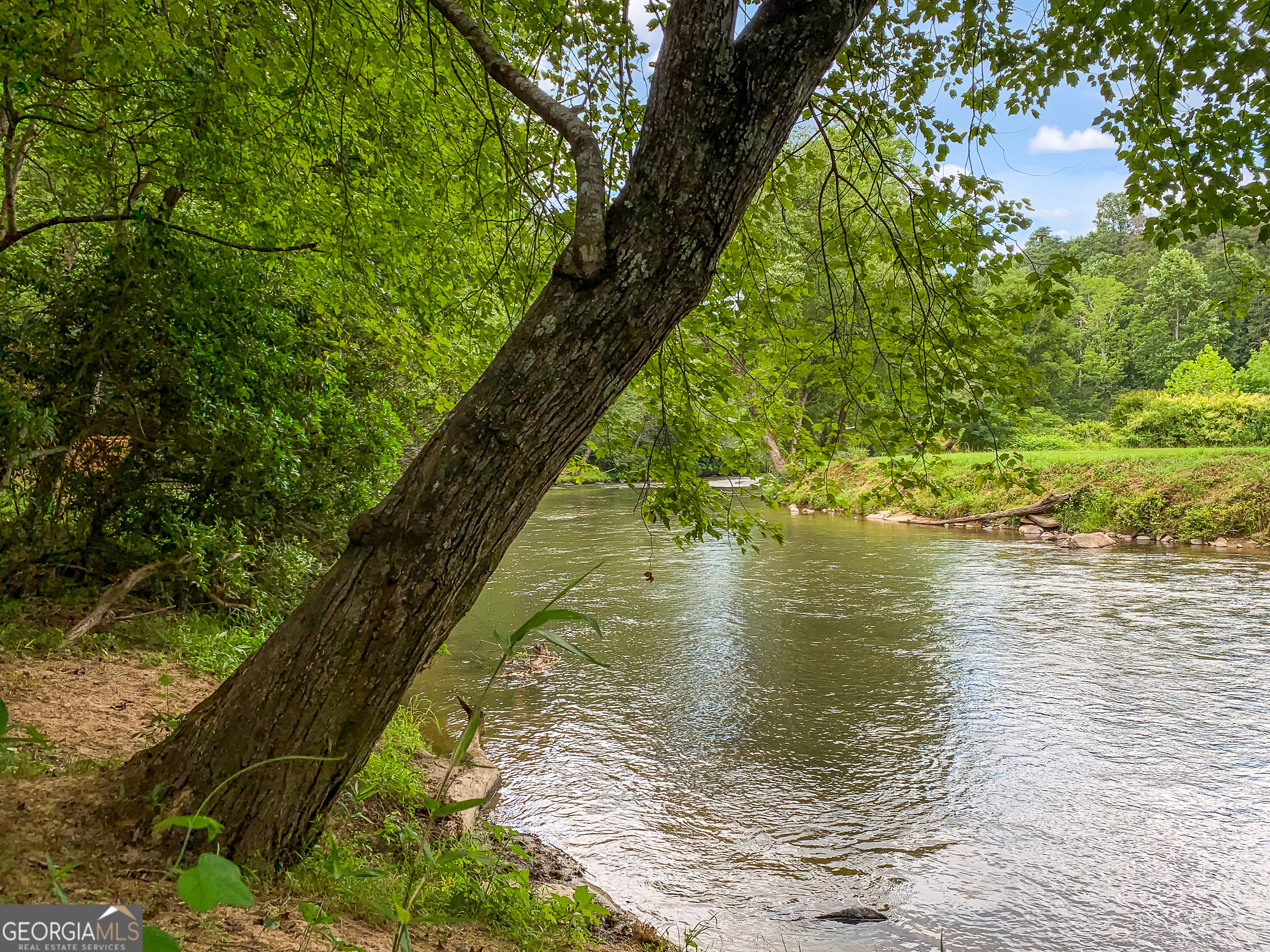 Lot 17 Misty Mountain Trail Ellijay GA 30536