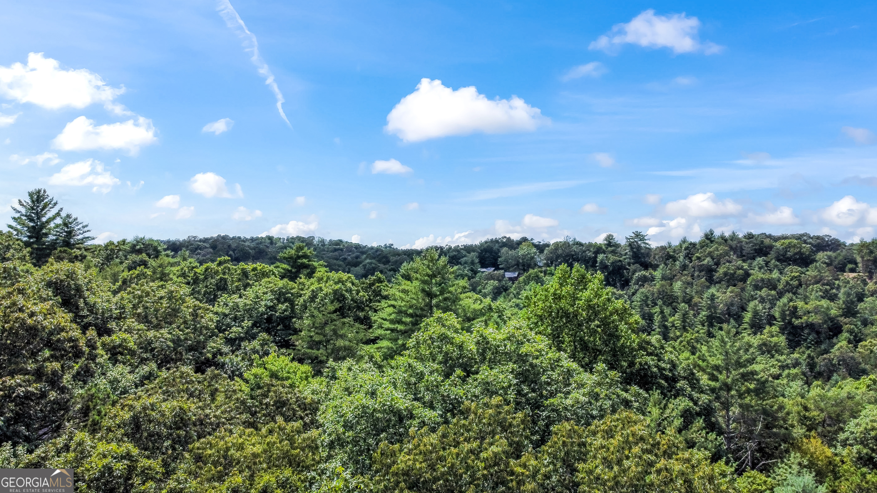 Lot 17 Misty Mountain Trail Ellijay GA 30536
