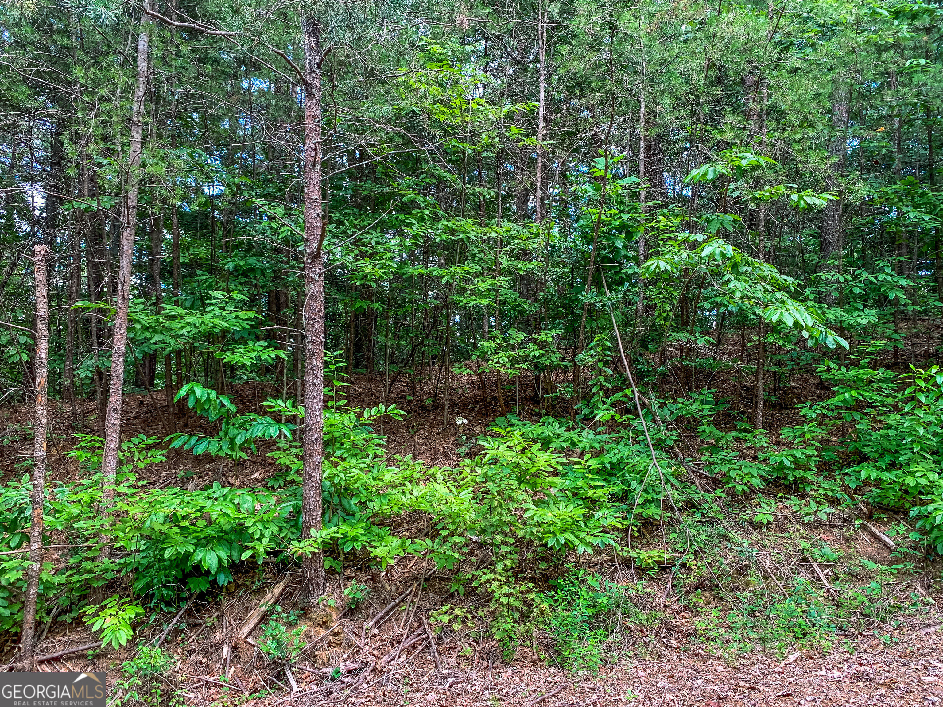 Lot 17 Misty Mountain Trail Ellijay GA 30536