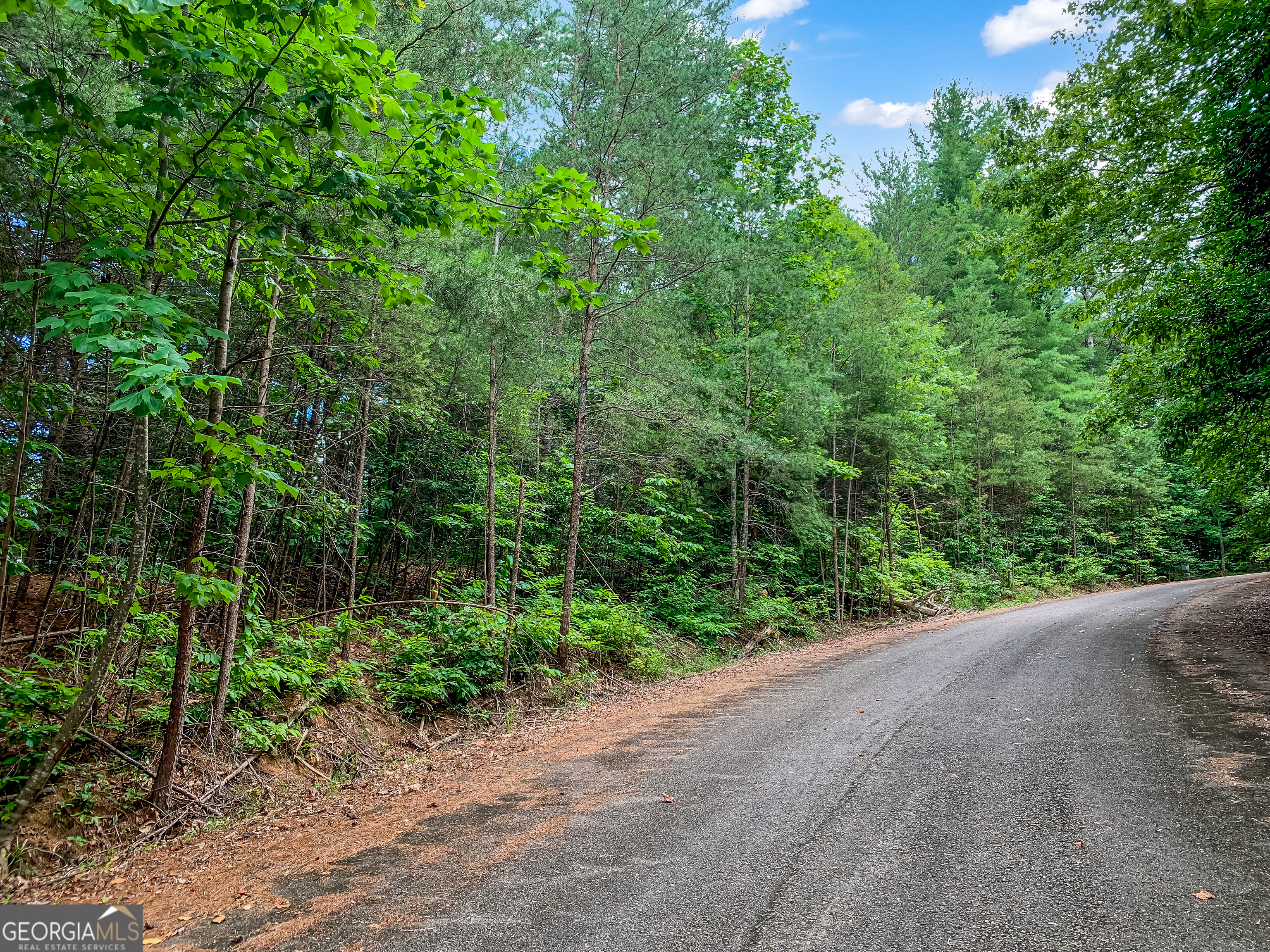 Lot 17 Misty Mountain Trail Ellijay GA 30536