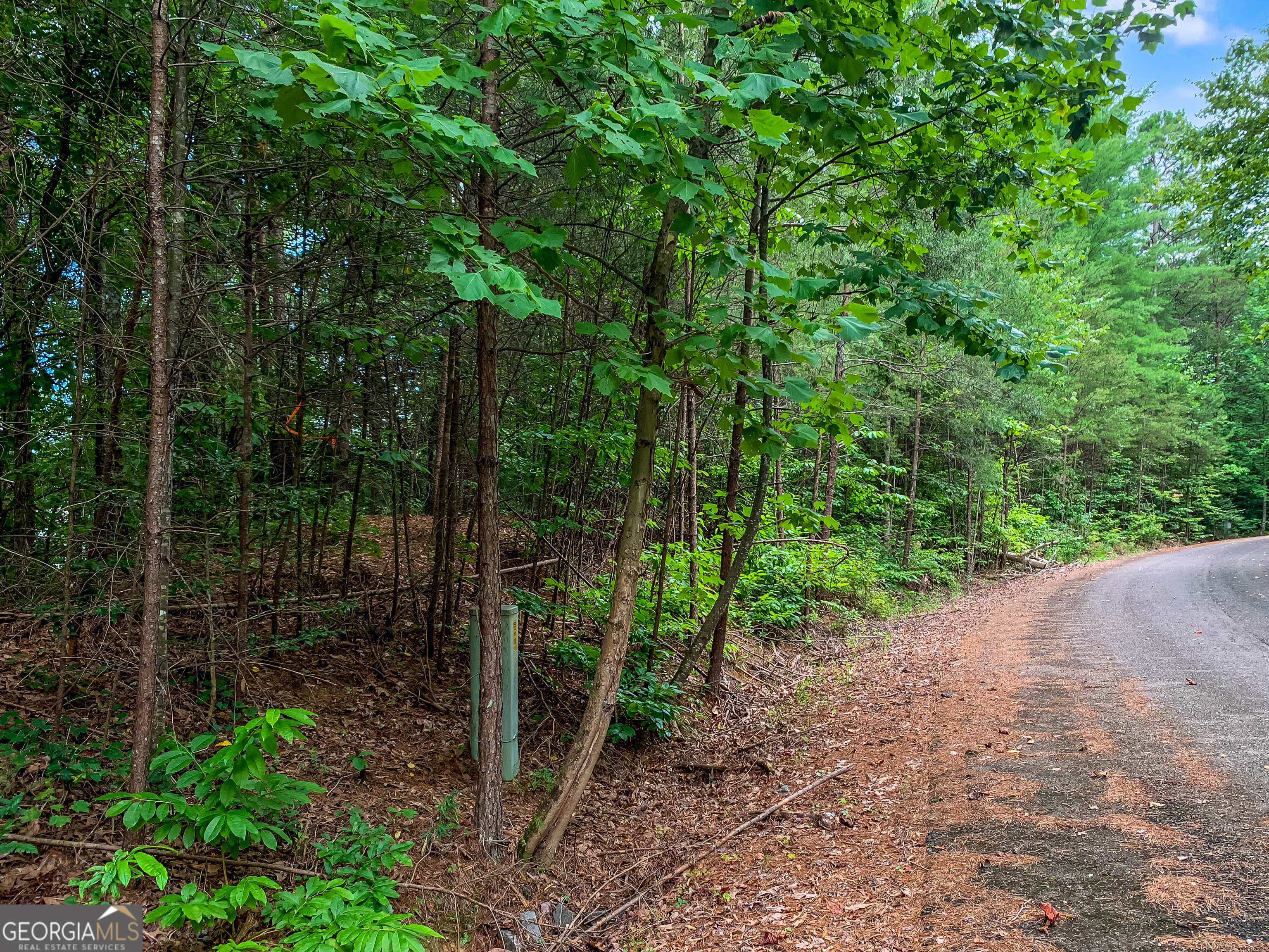 Lot 17 Misty Mountain Trail Ellijay GA 30536