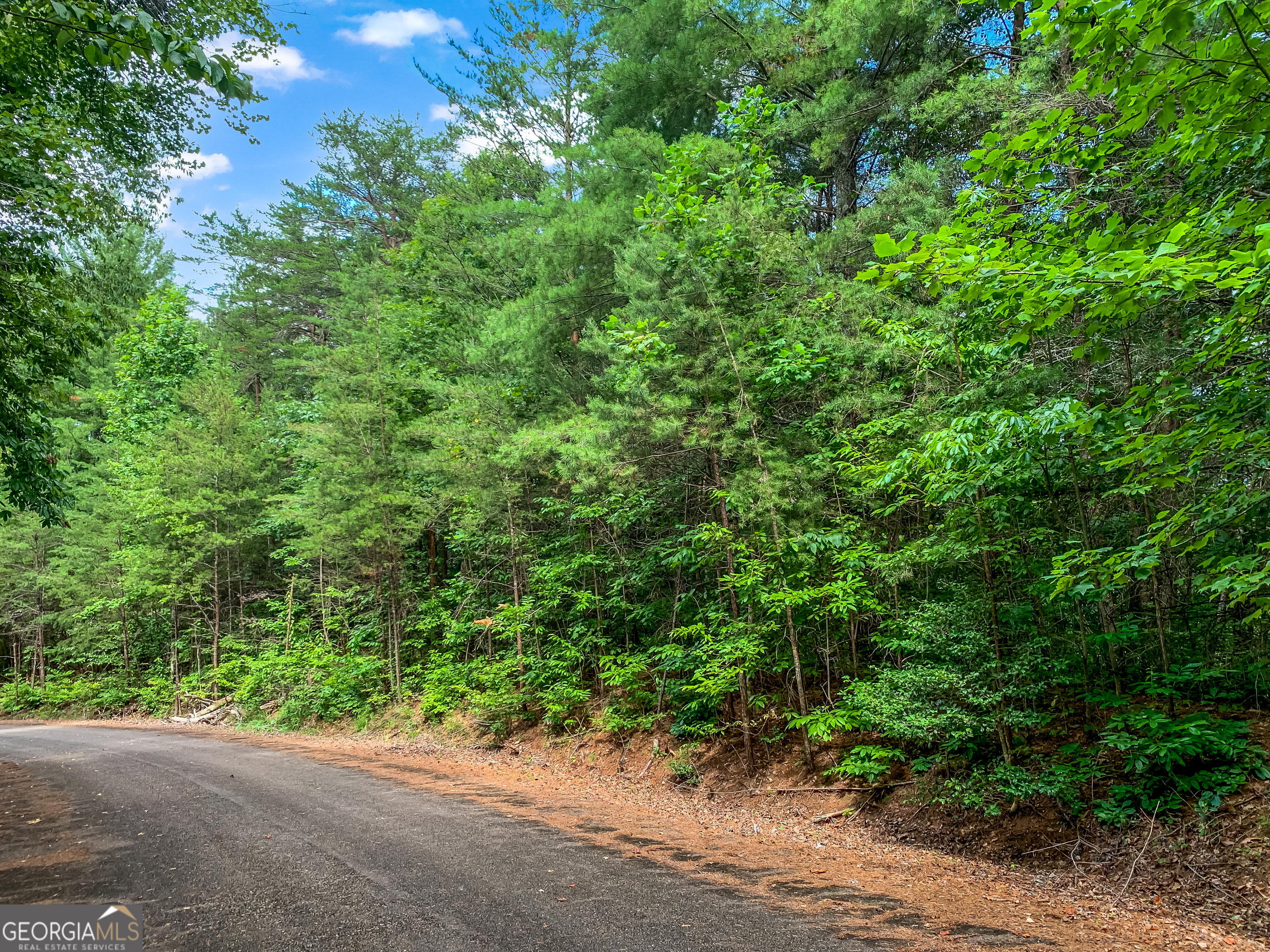 Lot 17 Misty Mountain Trail Ellijay GA 30536